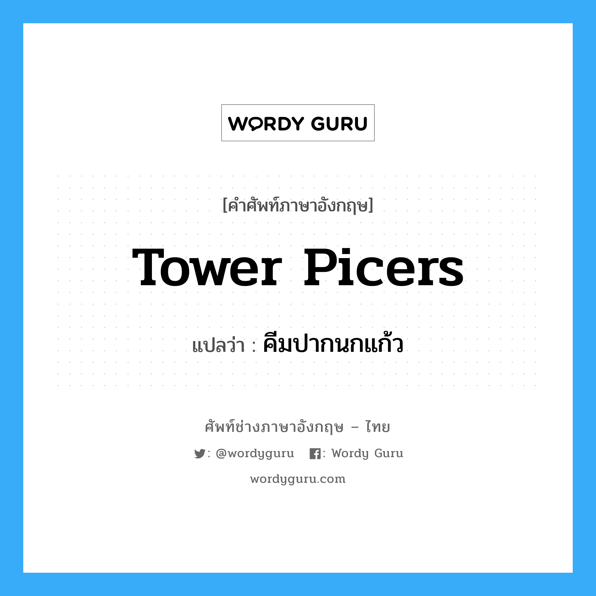 tower picers แปลว่า?, คำศัพท์ช่างภาษาอังกฤษ - ไทย tower picers คำศัพท์ภาษาอังกฤษ tower picers แปลว่า คีมปากนกแก้ว