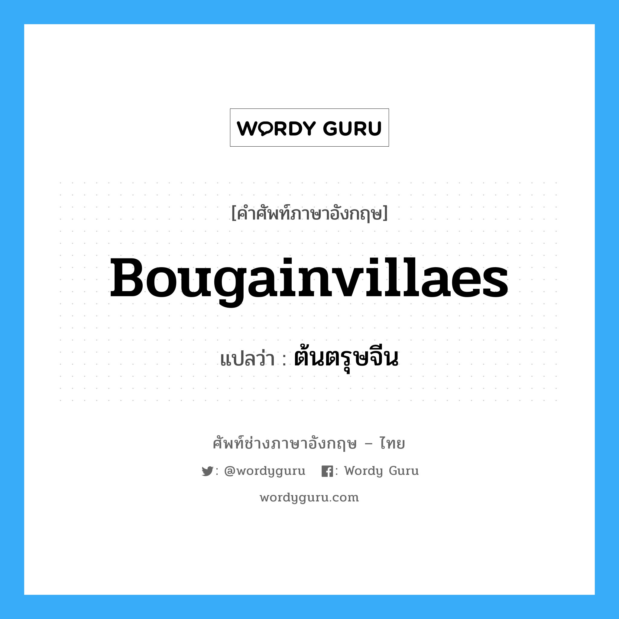 bougainvillaes แปลว่า?, คำศัพท์ช่างภาษาอังกฤษ - ไทย bougainvillaes คำศัพท์ภาษาอังกฤษ bougainvillaes แปลว่า ต้นตรุษจีน