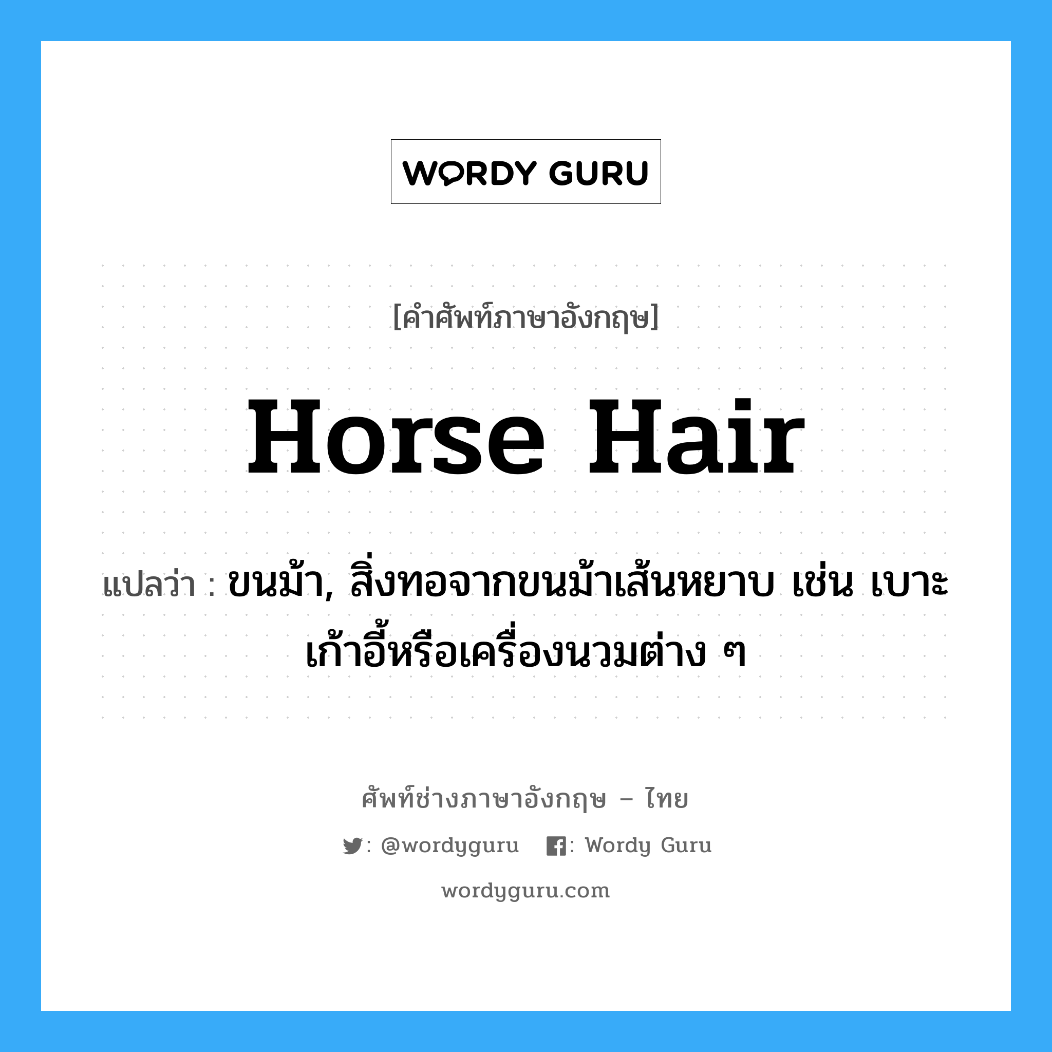 horse hair แปลว่า?, คำศัพท์ช่างภาษาอังกฤษ - ไทย horse hair คำศัพท์ภาษาอังกฤษ horse hair แปลว่า ขนม้า, สิ่งทอจากขนม้าเส้นหยาบ เช่น เบาะเก้าอี้หรือเครื่องนวมต่าง ๆ