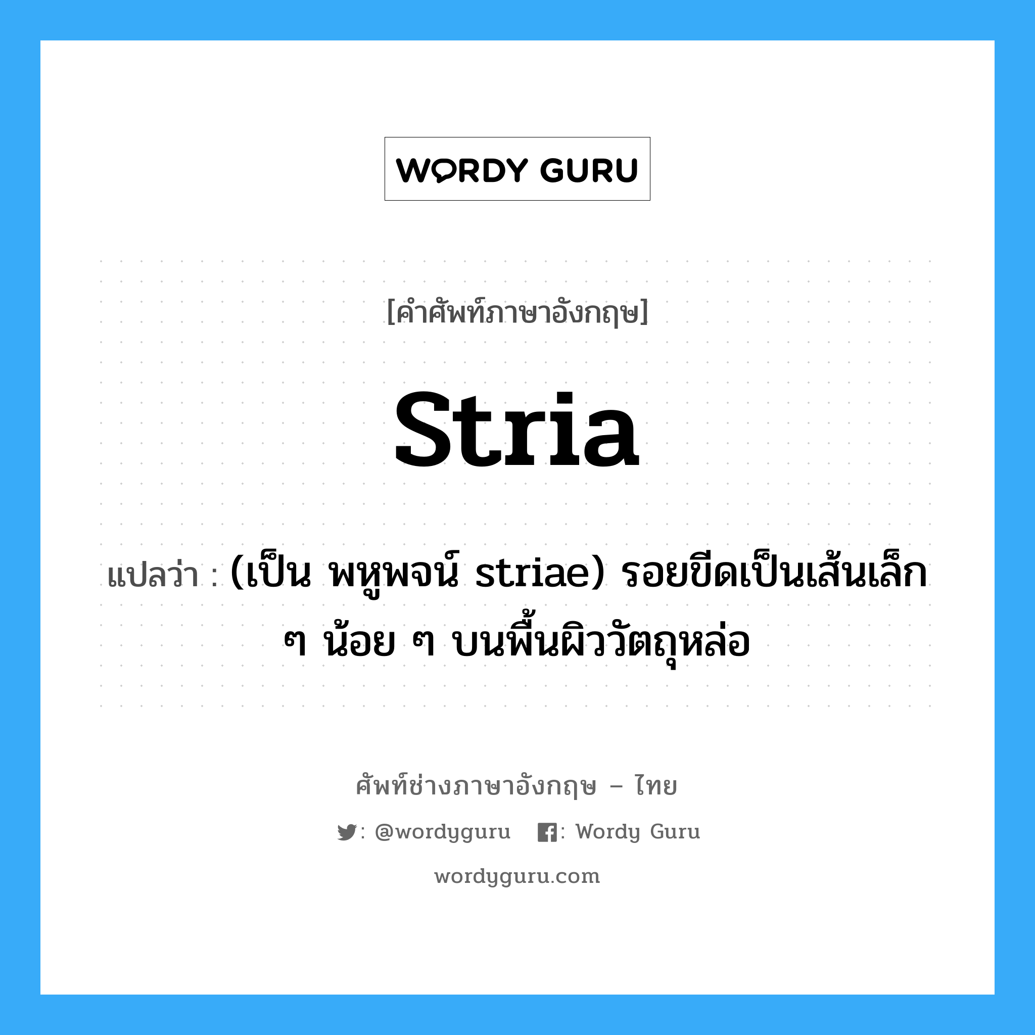 stria แปลว่า?, คำศัพท์ช่างภาษาอังกฤษ - ไทย stria คำศัพท์ภาษาอังกฤษ stria แปลว่า (เป็น พหูพจน์ striae) รอยขีดเป็นเส้นเล็ก ๆ น้อย ๆ บนพื้นผิววัตถุหล่อ