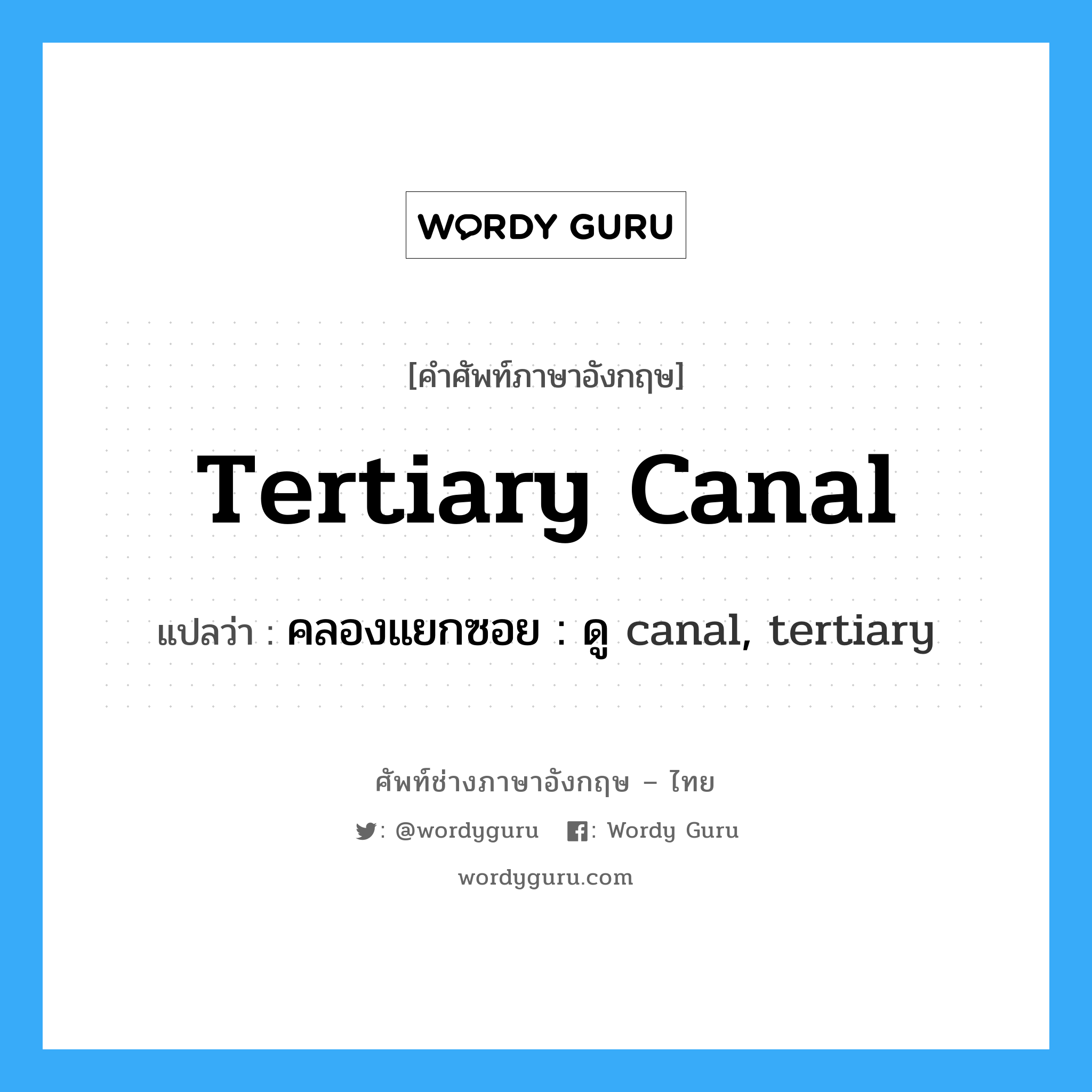 tertiary canal แปลว่า?, คำศัพท์ช่างภาษาอังกฤษ - ไทย tertiary canal คำศัพท์ภาษาอังกฤษ tertiary canal แปลว่า คลองแยกซอย : ดู canal, tertiary