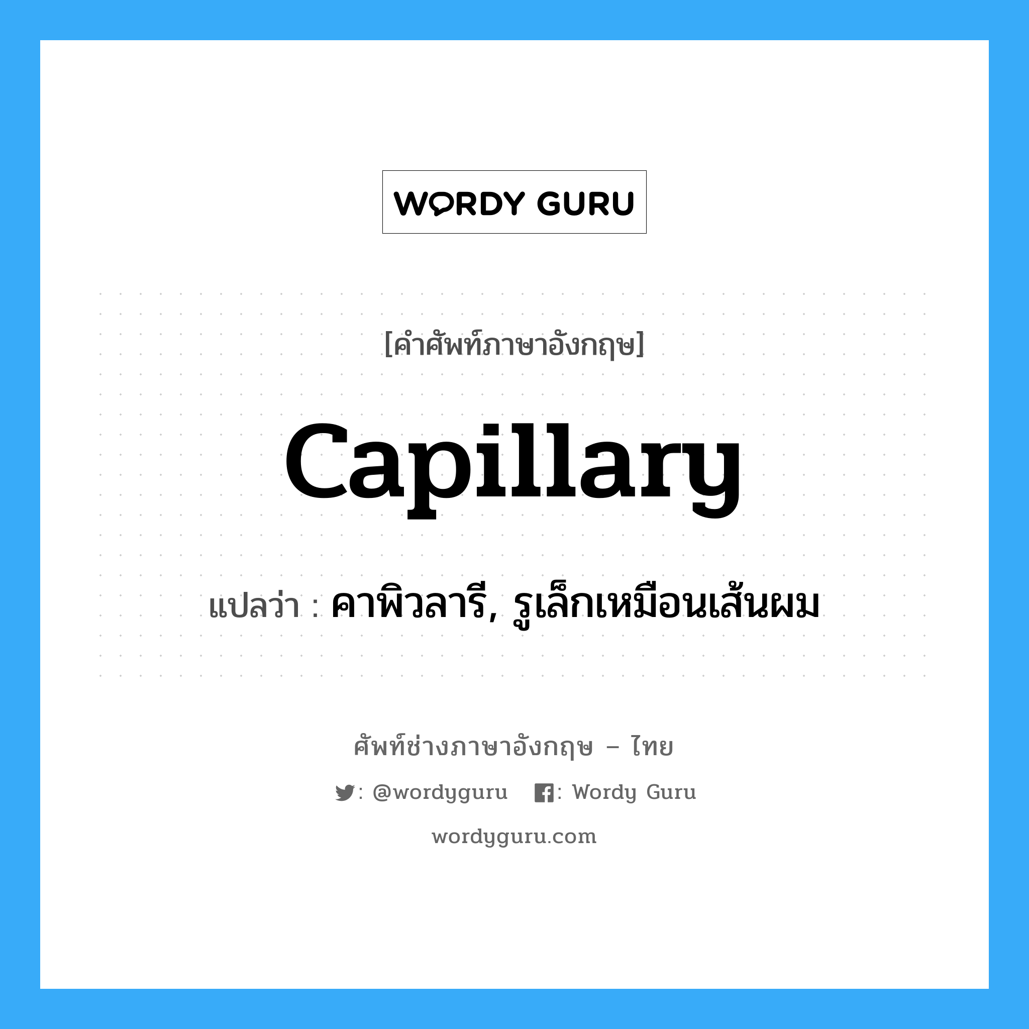 capillary แปลว่า?, คำศัพท์ช่างภาษาอังกฤษ - ไทย capillary คำศัพท์ภาษาอังกฤษ capillary แปลว่า คาพิวลารี, รูเล็กเหมือนเส้นผม