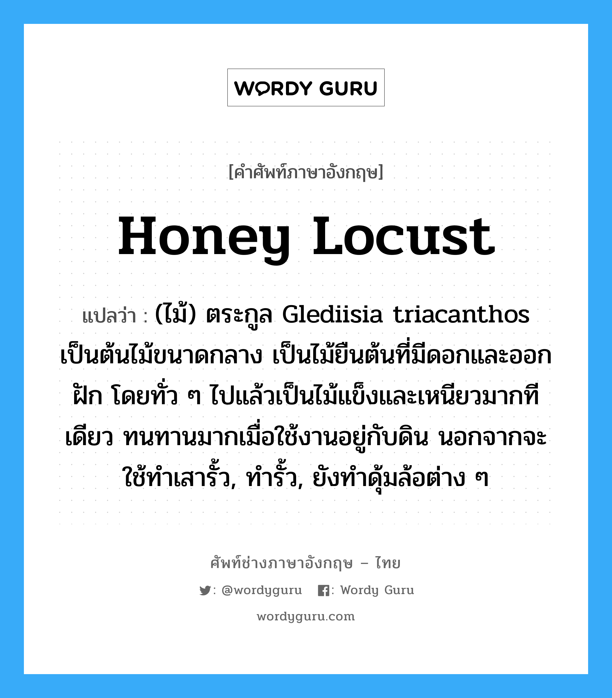 honey locust แปลว่า?, คำศัพท์ช่างภาษาอังกฤษ - ไทย honey locust คำศัพท์ภาษาอังกฤษ honey locust แปลว่า (ไม้) ตระกูล Glediisia triacanthos เป็นต้นไม้ขนาดกลาง เป็นไม้ยืนต้นที่มีดอกและออกฝัก โดยทั่ว ๆ ไปแล้วเป็นไม้แข็งและเหนียวมากทีเดียว ทนทานมากเมื่อใช้งานอยู่กับดิน นอกจากจะใช้ทำเสารั้ว, ทำรั้ว, ยังทำดุ้มล้อต่าง ๆ