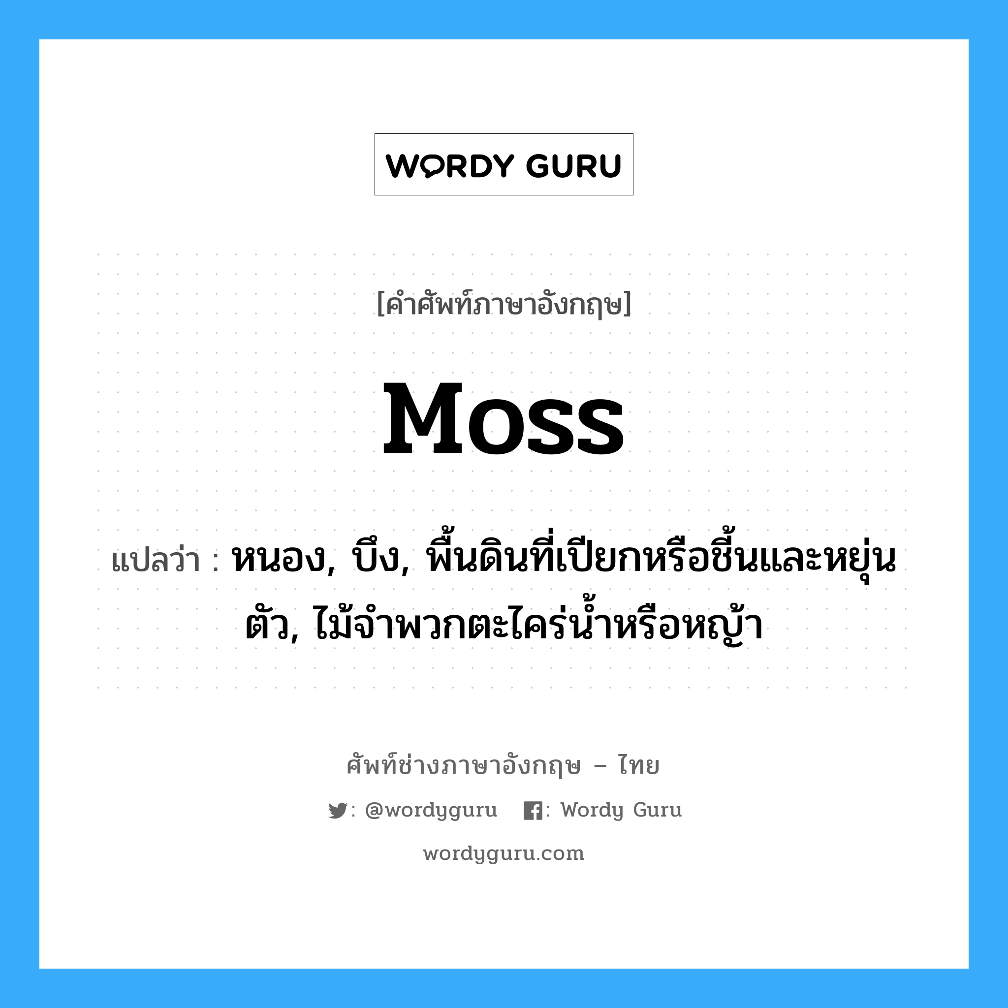 moss แปลว่า?, คำศัพท์ช่างภาษาอังกฤษ - ไทย moss คำศัพท์ภาษาอังกฤษ moss แปลว่า หนอง, บึง, พื้นดินที่เปียกหรือชี้นและหยุ่นตัว, ไม้จำพวกตะไคร่น้ำหรือหญ้า