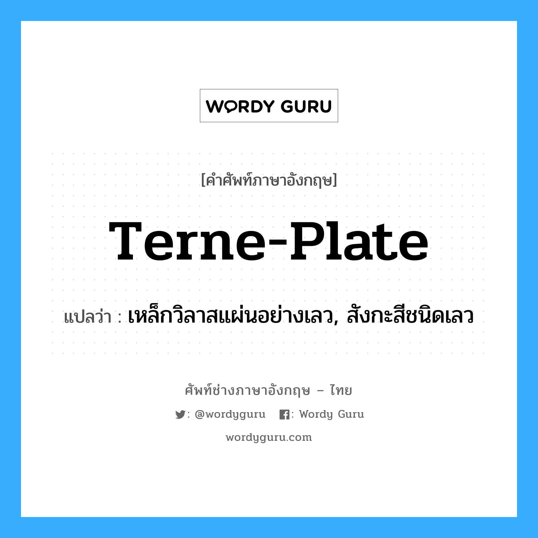 terne-plate แปลว่า?, คำศัพท์ช่างภาษาอังกฤษ - ไทย terne-plate คำศัพท์ภาษาอังกฤษ terne-plate แปลว่า เหล็กวิลาสแผ่นอย่างเลว, สังกะสีชนิดเลว