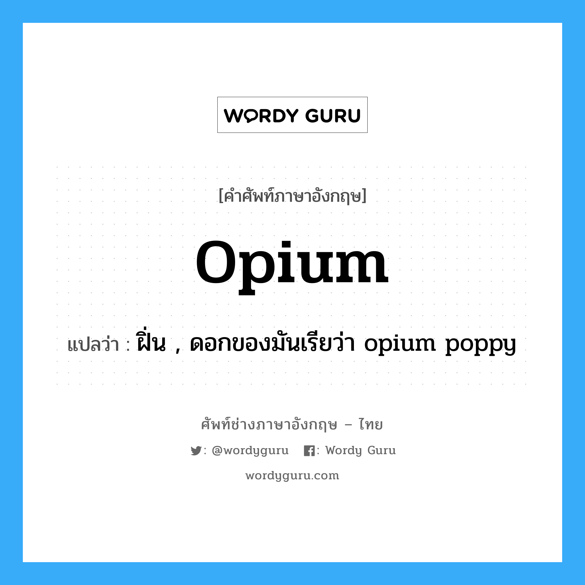 opium แปลว่า?, คำศัพท์ช่างภาษาอังกฤษ - ไทย opium คำศัพท์ภาษาอังกฤษ opium แปลว่า ฝิ่น , ดอกของมันเรียว่า opium poppy