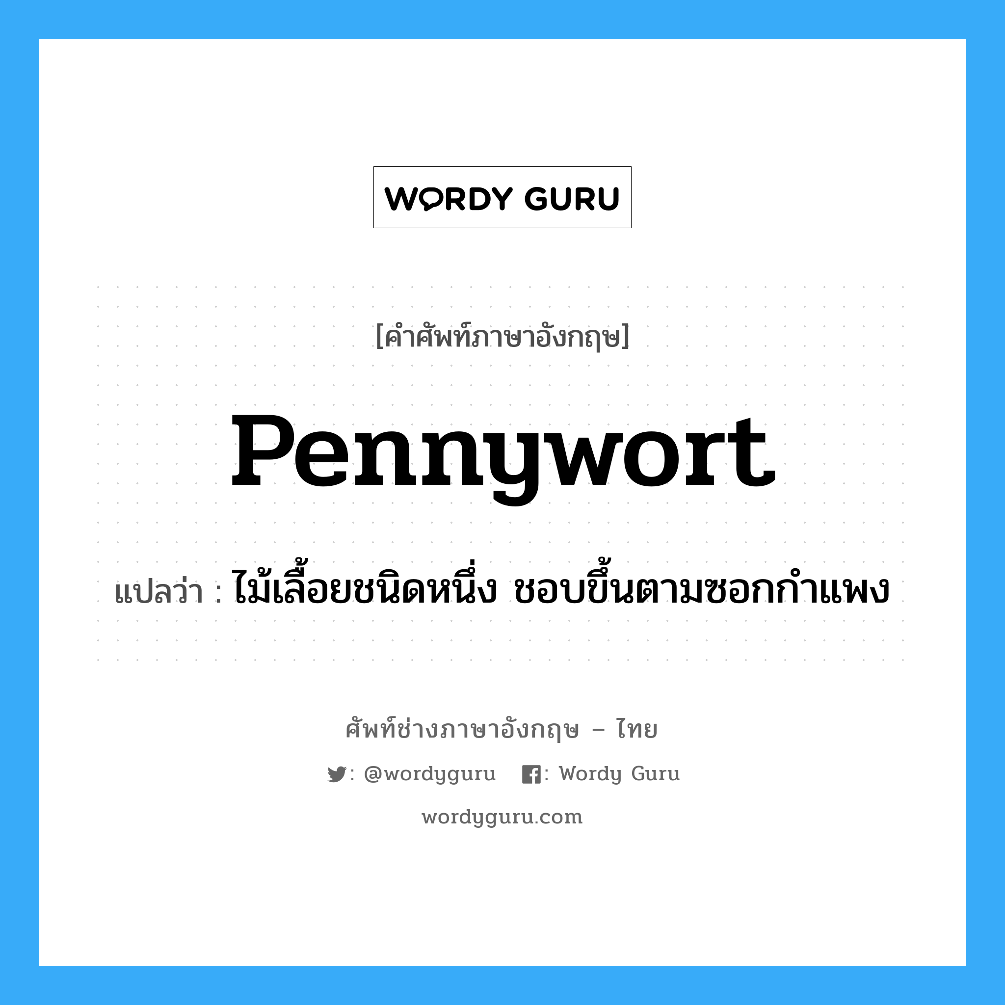 pennywort แปลว่า?, คำศัพท์ช่างภาษาอังกฤษ - ไทย pennywort คำศัพท์ภาษาอังกฤษ pennywort แปลว่า ไม้เลื้อยชนิดหนึ่ง ชอบขึ้นตามซอกกำแพง