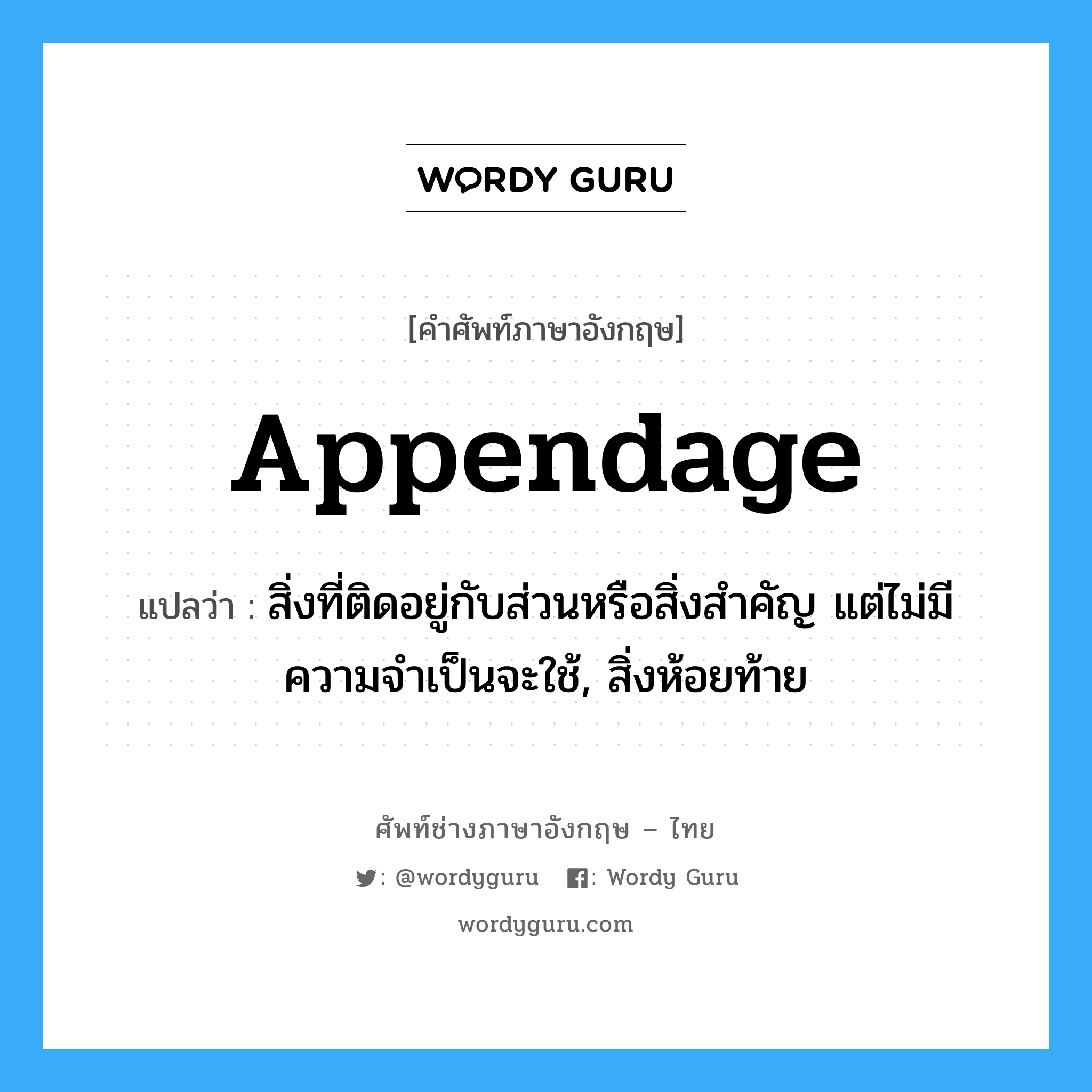 appendage แปลว่า?, คำศัพท์ช่างภาษาอังกฤษ - ไทย appendage คำศัพท์ภาษาอังกฤษ appendage แปลว่า สิ่งที่ติดอยู่กับส่วนหรือสิ่งสำคัญ แต่ไม่มีความจำเป็นจะใช้, สิ่งห้อยท้าย