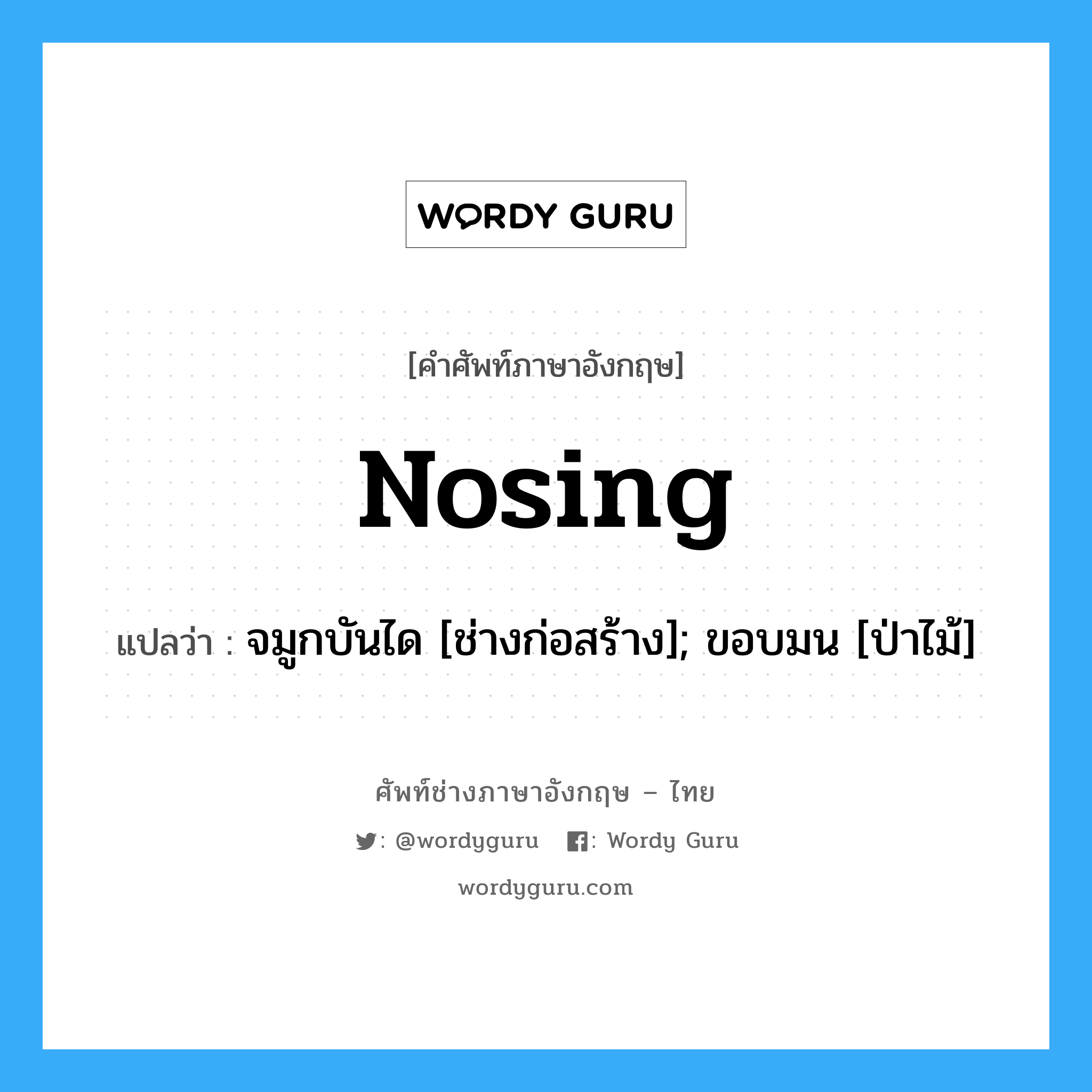 Nosing แปลว่า?, คำศัพท์ช่างภาษาอังกฤษ - ไทย Nosing คำศัพท์ภาษาอังกฤษ Nosing แปลว่า จมูกบันได [ช่างก่อสร้าง]; ขอบมน [ป่าไม้]