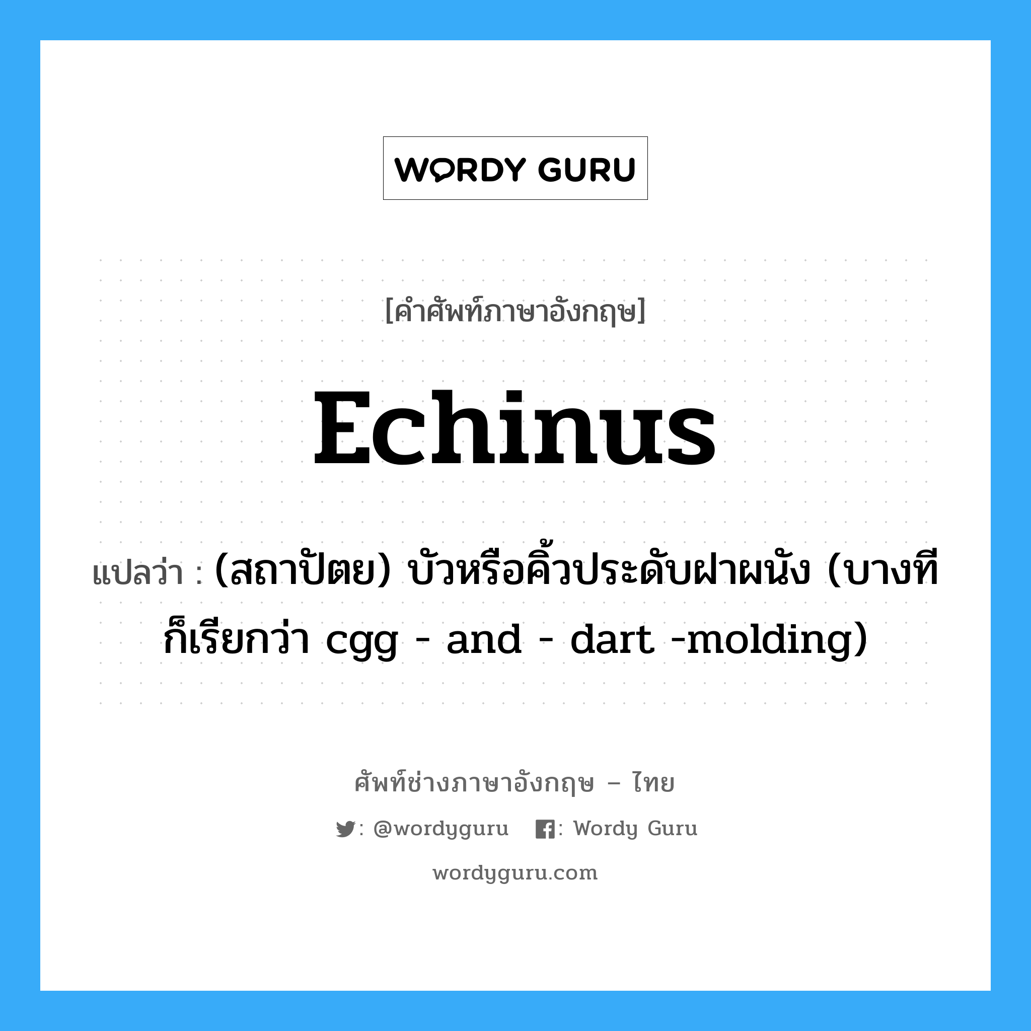 echinus แปลว่า?, คำศัพท์ช่างภาษาอังกฤษ - ไทย echinus คำศัพท์ภาษาอังกฤษ echinus แปลว่า (สถาปัตย) บัวหรือคิ้วประดับฝาผนัง (บางทีก็เรียกว่า cgg - and - dart -molding)