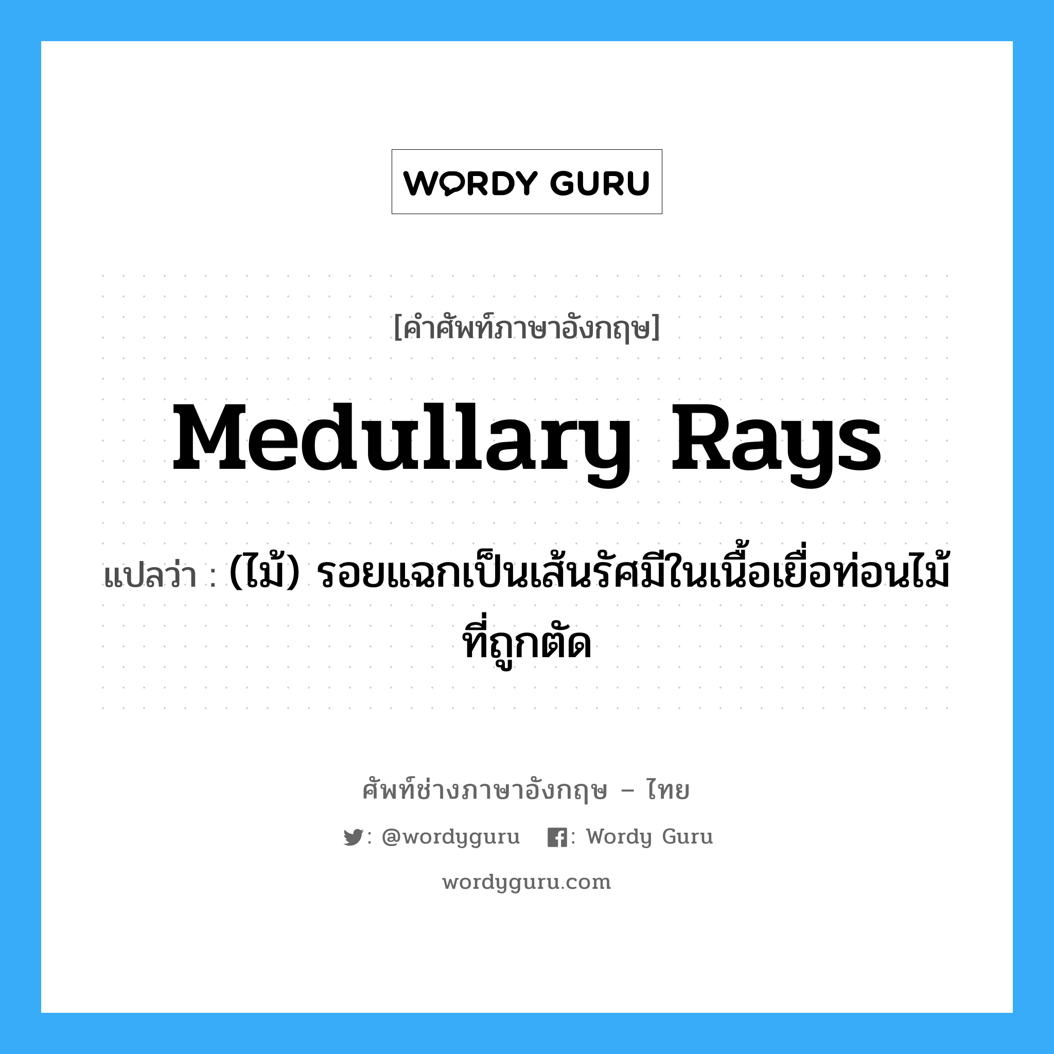 medullary rays แปลว่า?, คำศัพท์ช่างภาษาอังกฤษ - ไทย medullary rays คำศัพท์ภาษาอังกฤษ medullary rays แปลว่า (ไม้) รอยแฉกเป็นเส้นรัศมีในเนื้อเยื่อท่อนไม้ที่ถูกตัด