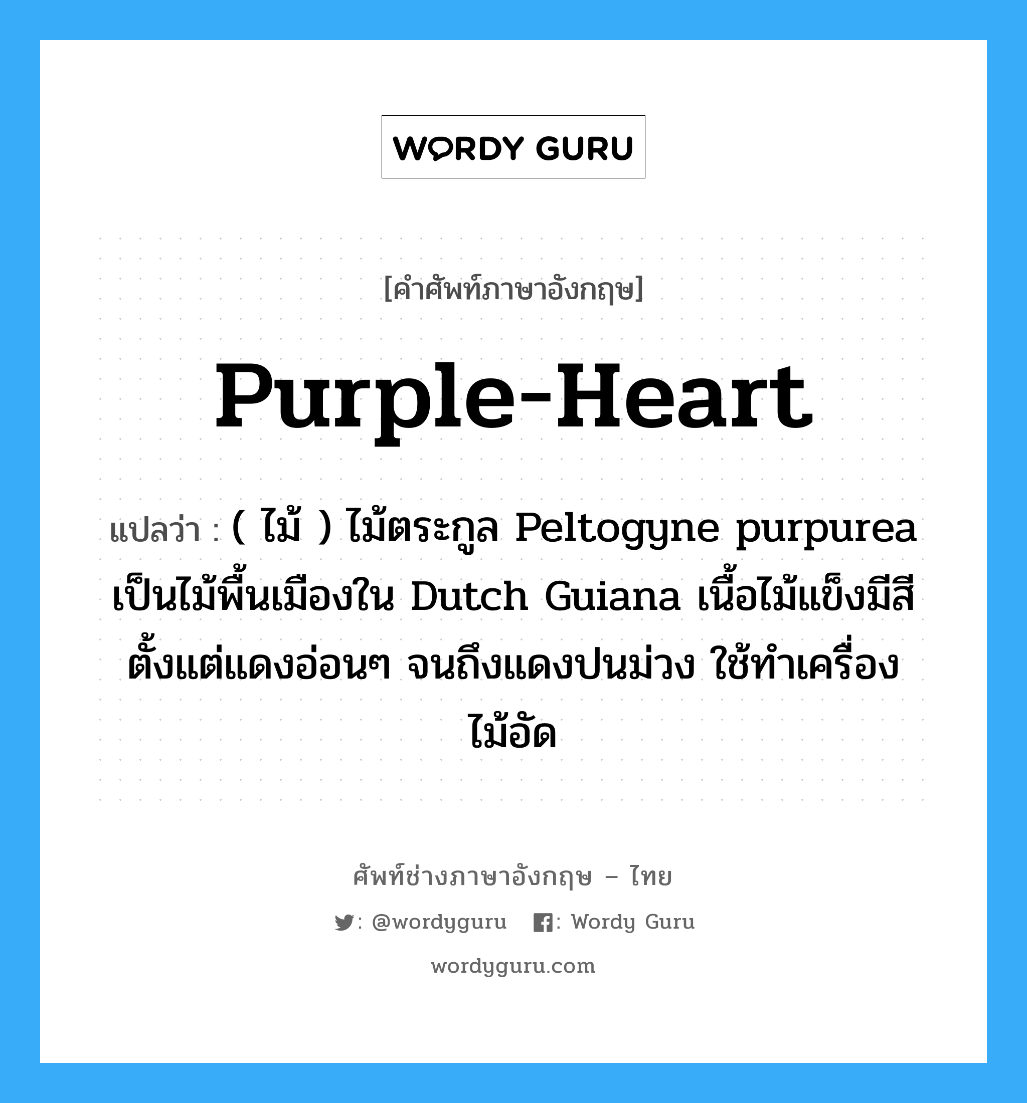 purple-heart แปลว่า?, คำศัพท์ช่างภาษาอังกฤษ - ไทย purple-heart คำศัพท์ภาษาอังกฤษ purple-heart แปลว่า ( ไม้ ) ไม้ตระกูล Peltogyne purpurea เป็นไม้พื้นเมืองใน Dutch Guiana เนื้อไม้แข็งมีสีตั้งแต่แดงอ่อนๆ จนถึงแดงปนม่วง ใช้ทำเครื่องไม้อัด