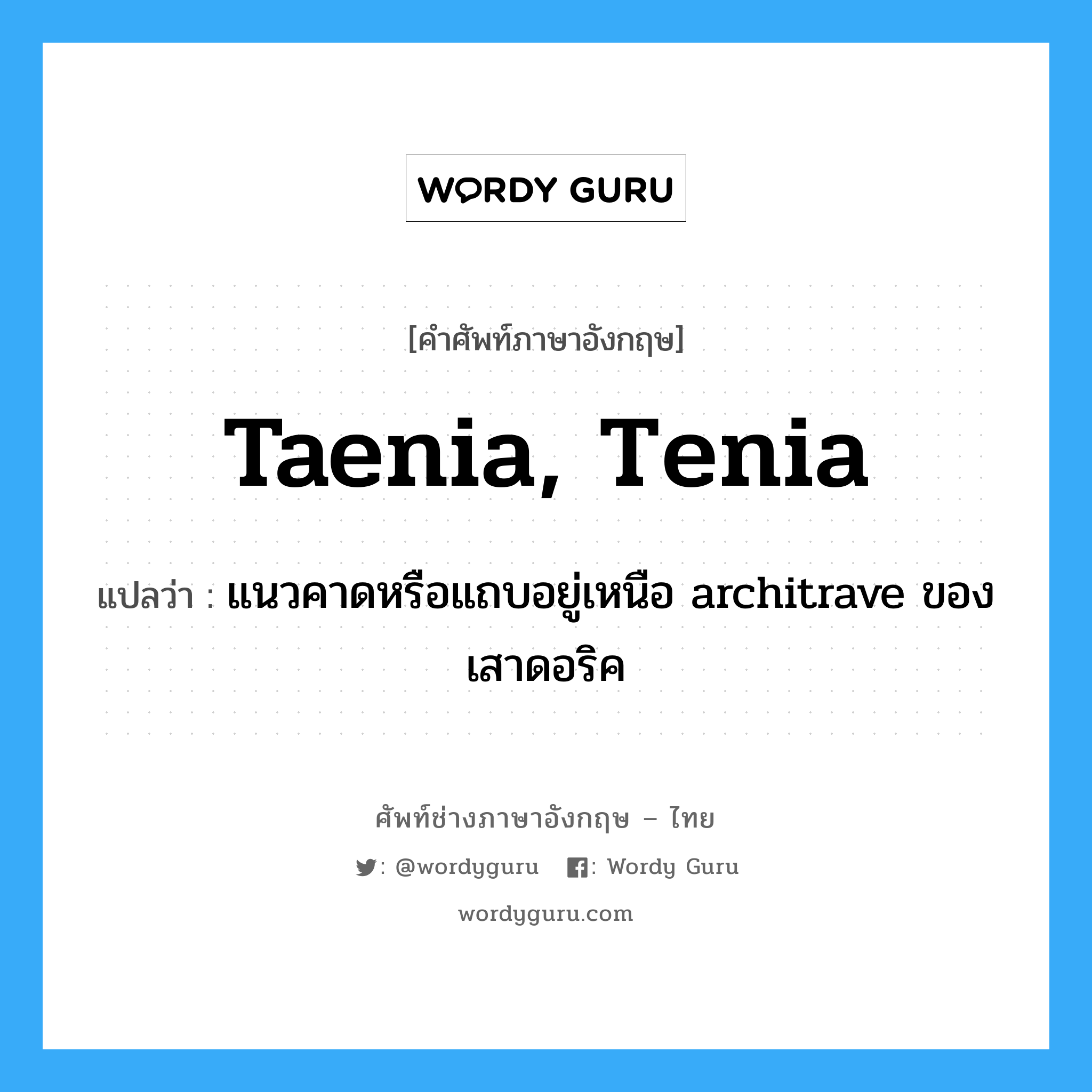 taenia, tenia แปลว่า?, คำศัพท์ช่างภาษาอังกฤษ - ไทย taenia, tenia คำศัพท์ภาษาอังกฤษ taenia, tenia แปลว่า แนวคาดหรือแถบอยู่เหนือ architrave ของเสาดอริค