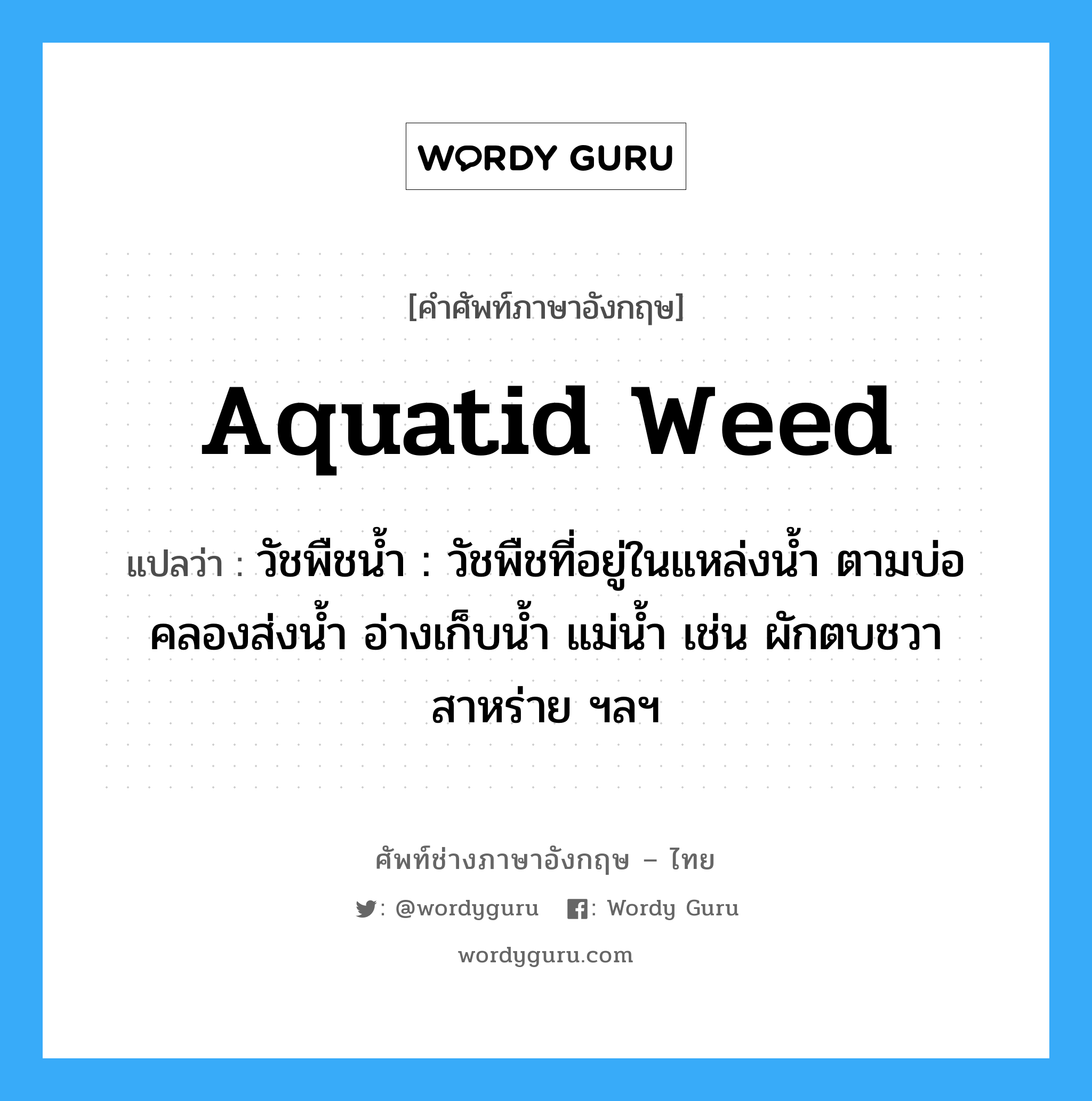 aquatid weed แปลว่า?, คำศัพท์ช่างภาษาอังกฤษ - ไทย aquatid weed คำศัพท์ภาษาอังกฤษ aquatid weed แปลว่า วัชพืชน้ำ : วัชพืชที่อยู่ในแหล่งน้ำ ตามบ่อ คลองส่งน้ำ อ่างเก็บน้ำ แม่น้ำ เช่น ผักตบชวา สาหร่าย ฯลฯ