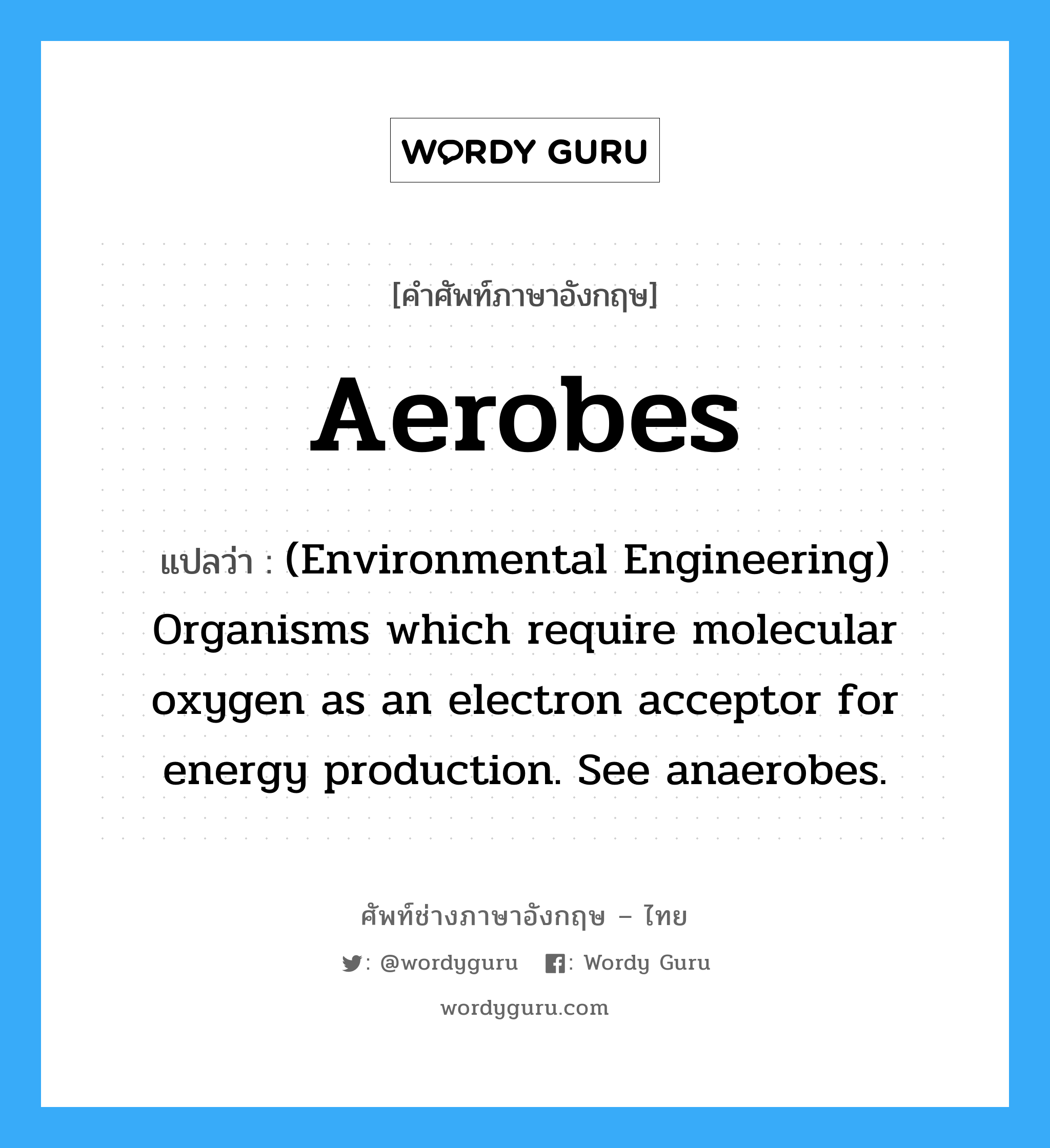 Aerobes แปลว่า?, คำศัพท์ช่างภาษาอังกฤษ - ไทย Aerobes คำศัพท์ภาษาอังกฤษ Aerobes แปลว่า (Environmental Engineering) Organisms which require molecular oxygen as an electron acceptor for energy production. See anaerobes.