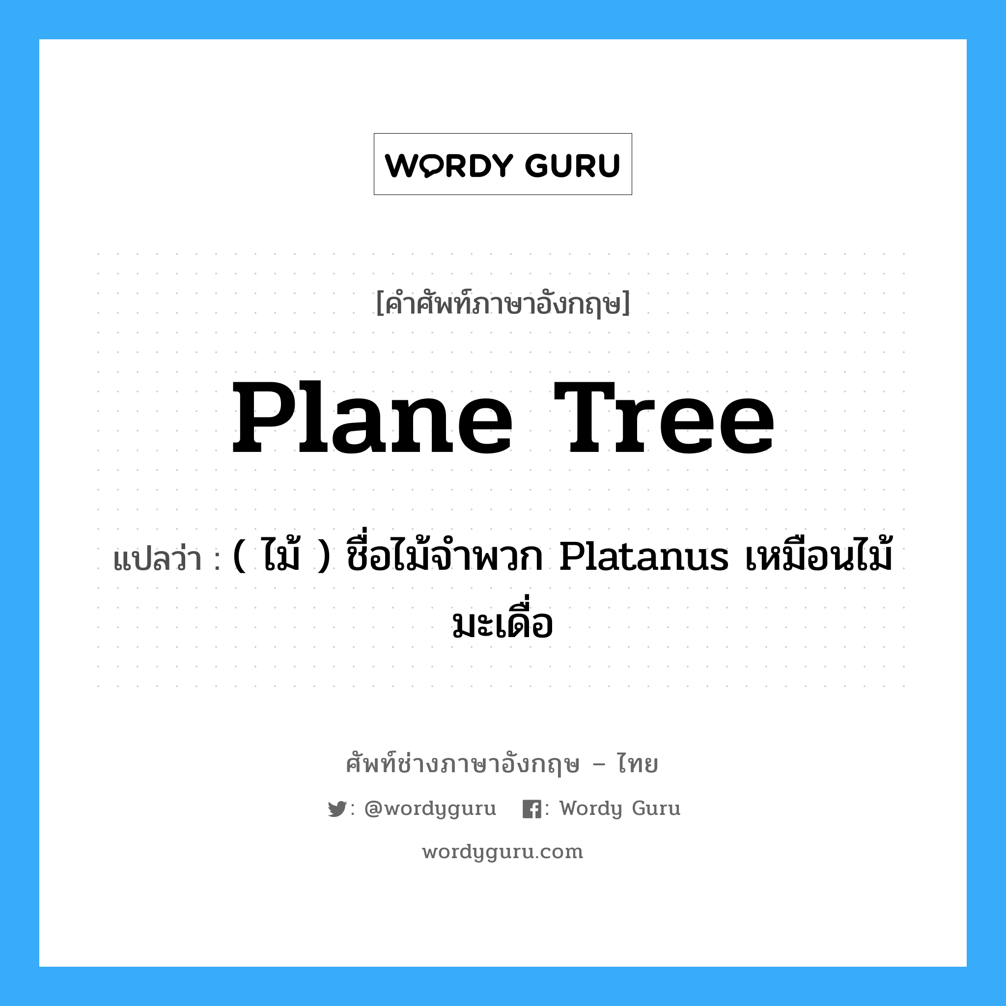 plane tree แปลว่า?, คำศัพท์ช่างภาษาอังกฤษ - ไทย plane tree คำศัพท์ภาษาอังกฤษ plane tree แปลว่า ( ไม้ ) ชื่อไม้จำพวก Platanus เหมือนไม้มะเดื่อ