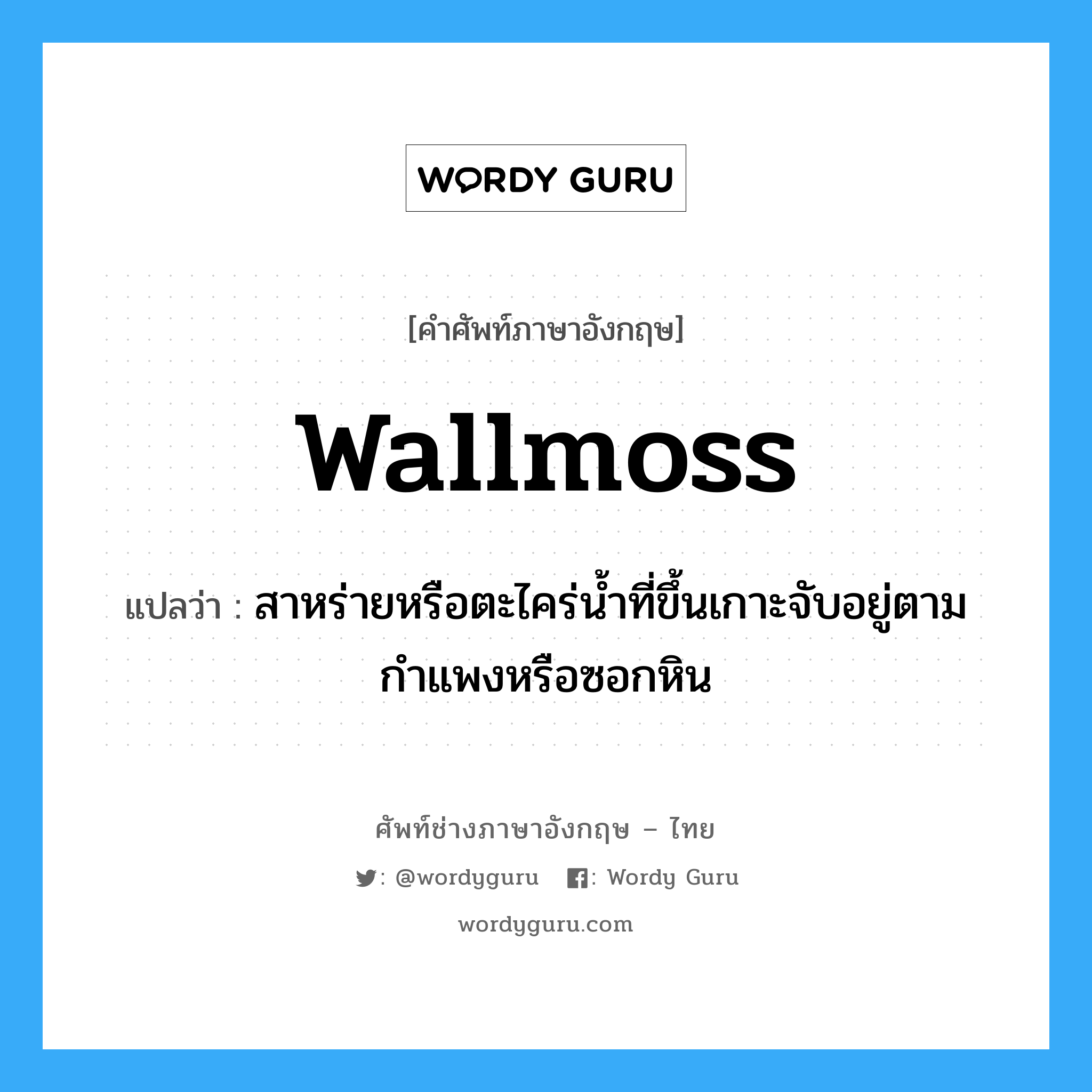 wallmoss แปลว่า?, คำศัพท์ช่างภาษาอังกฤษ - ไทย wallmoss คำศัพท์ภาษาอังกฤษ wallmoss แปลว่า สาหร่ายหรือตะไคร่น้ำที่ขึ้นเกาะจับอยู่ตามกำแพงหรือซอกหิน