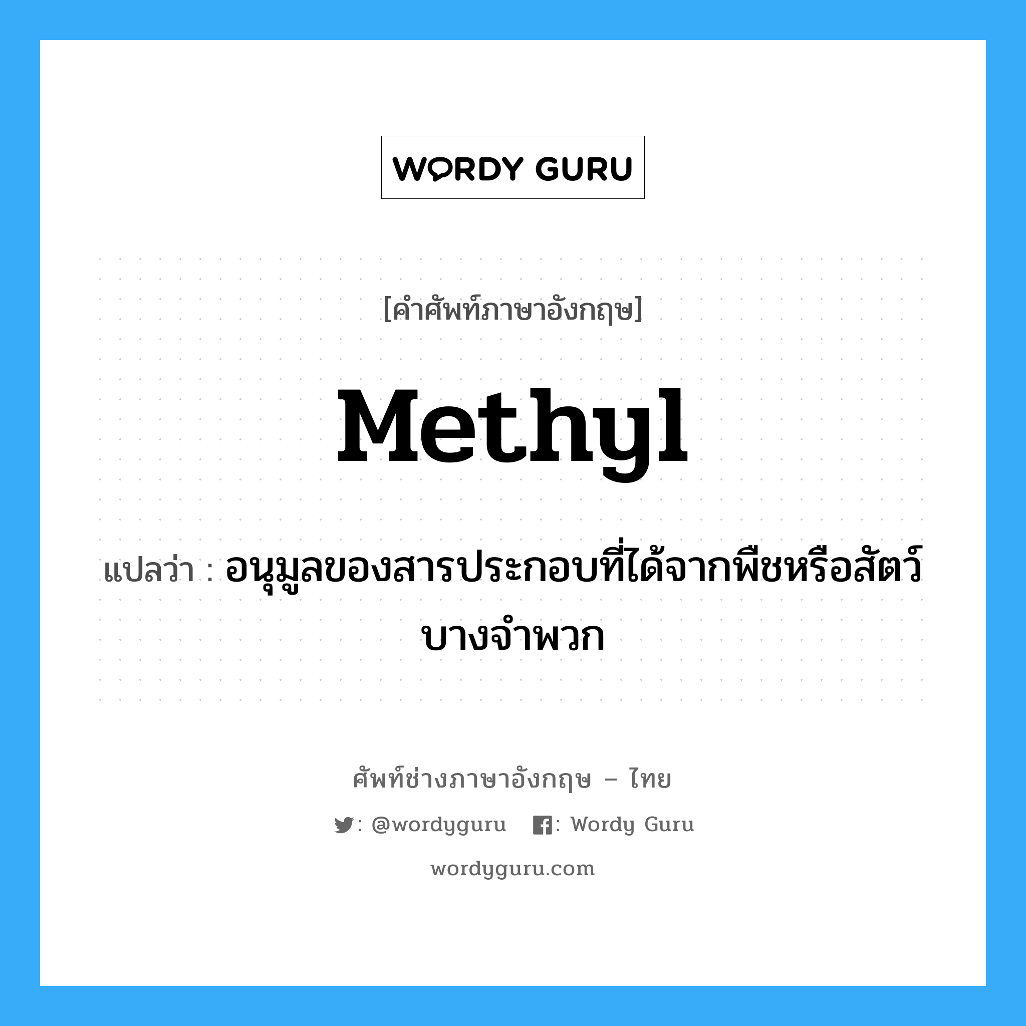 methyl แปลว่า?, คำศัพท์ช่างภาษาอังกฤษ - ไทย methyl คำศัพท์ภาษาอังกฤษ methyl แปลว่า อนุมูลของสารประกอบที่ได้จากพืชหรือสัตว์บางจำพวก