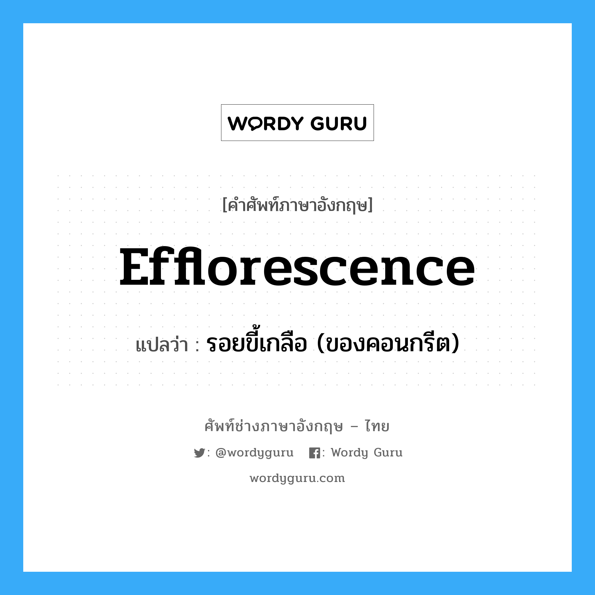 efflorescence แปลว่า?, คำศัพท์ช่างภาษาอังกฤษ - ไทย efflorescence คำศัพท์ภาษาอังกฤษ efflorescence แปลว่า รอยขี้เกลือ (ของคอนกรีต)