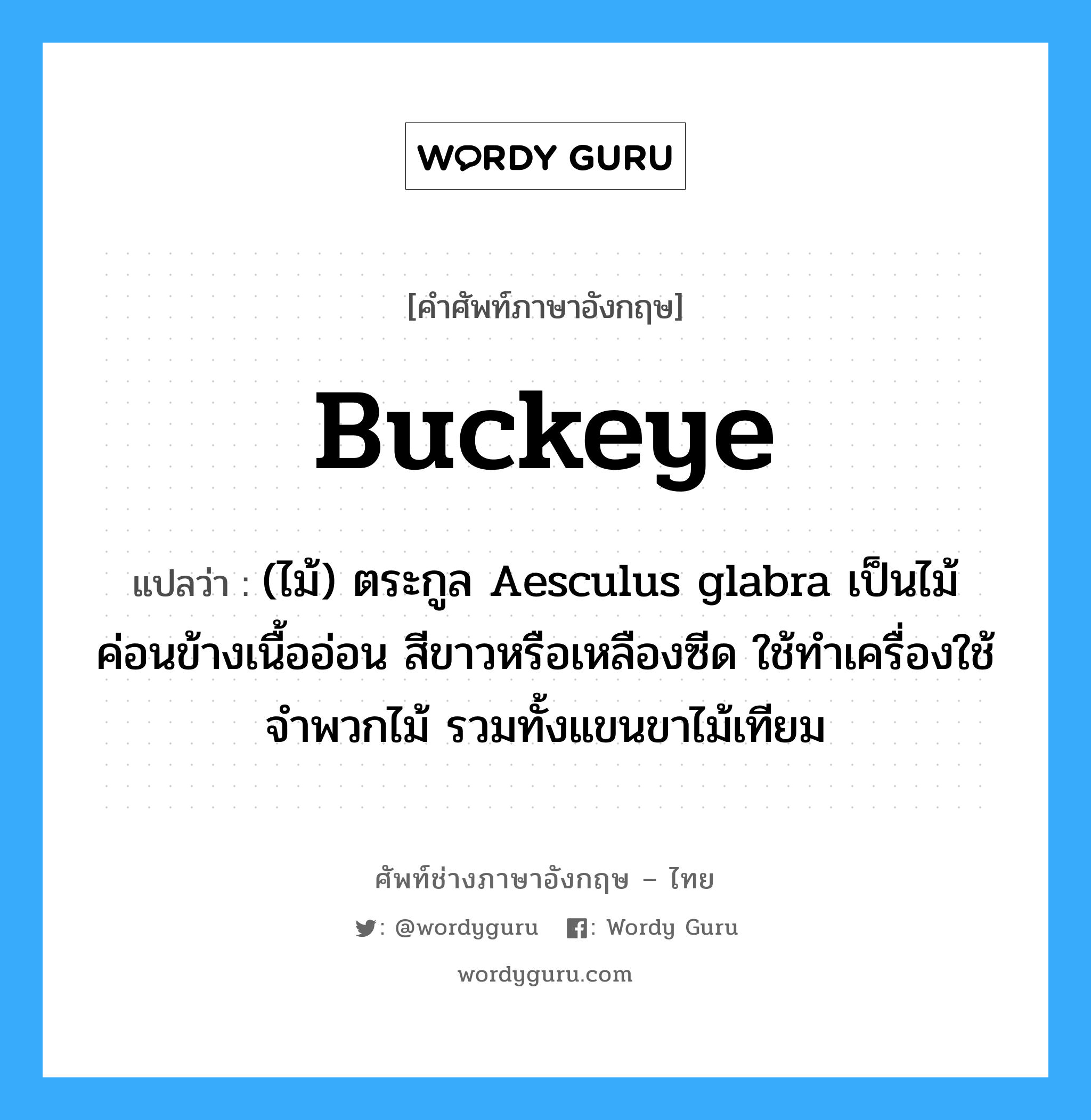 buckeye แปลว่า?, คำศัพท์ช่างภาษาอังกฤษ - ไทย buckeye คำศัพท์ภาษาอังกฤษ buckeye แปลว่า (ไม้) ตระกูล Aesculus glabra เป็นไม้ค่อนข้างเนื้ออ่อน สีขาวหรือเหลืองซีด ใช้ทำเครื่องใช้จำพวกไม้ รวมทั้งแขนขาไม้เทียม