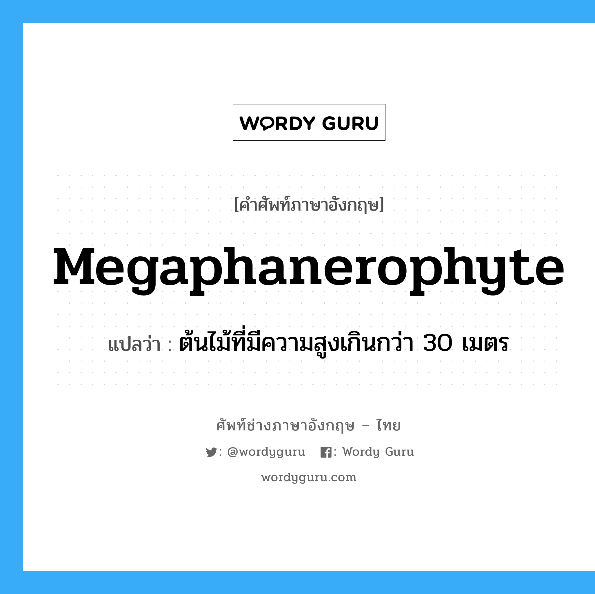 megaphanerophyte แปลว่า?, คำศัพท์ช่างภาษาอังกฤษ - ไทย megaphanerophyte คำศัพท์ภาษาอังกฤษ megaphanerophyte แปลว่า ต้นไม้ที่มีความสูงเกินกว่า 30 เมตร