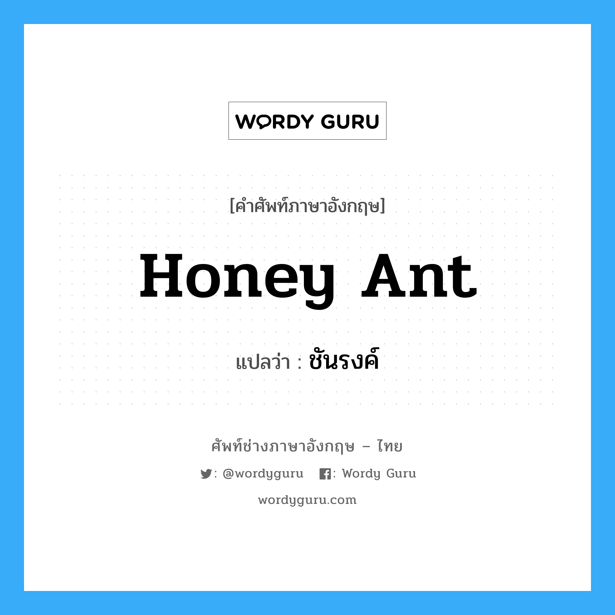 honey ant แปลว่า?, คำศัพท์ช่างภาษาอังกฤษ - ไทย honey ant คำศัพท์ภาษาอังกฤษ honey ant แปลว่า ชันรงค์