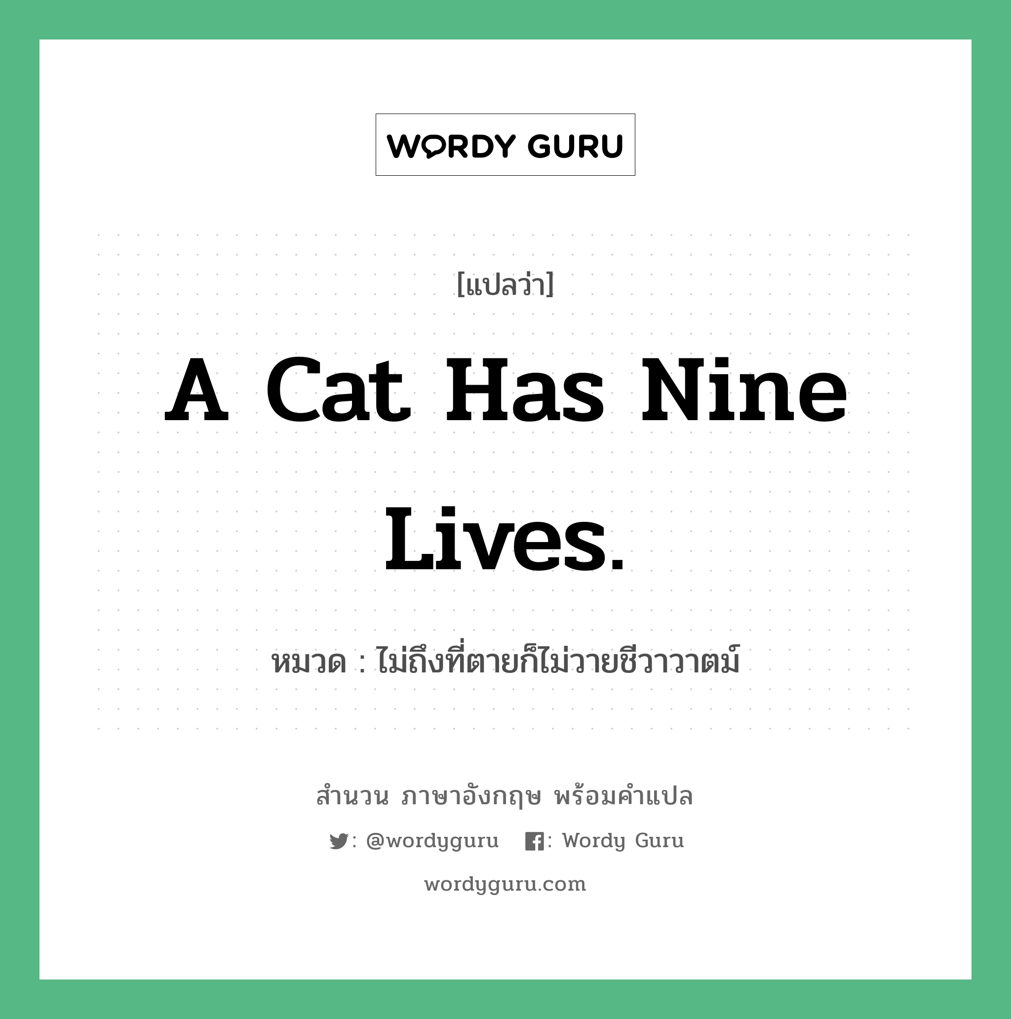 A cat has nine lives. แปลว่า? คำศัพท์ในกลุ่มประเภท คำสุภาษิต ภาษาอังกฤษ, สำนวนภาษาอังกฤษ A cat has nine lives. หมวด ไม่ถึงที่ตายก็ไม่วายชีวาวาตม์ คำสุภาษิต ภาษาอังกฤษ หมวด คำสุภาษิต ภาษาอังกฤษ