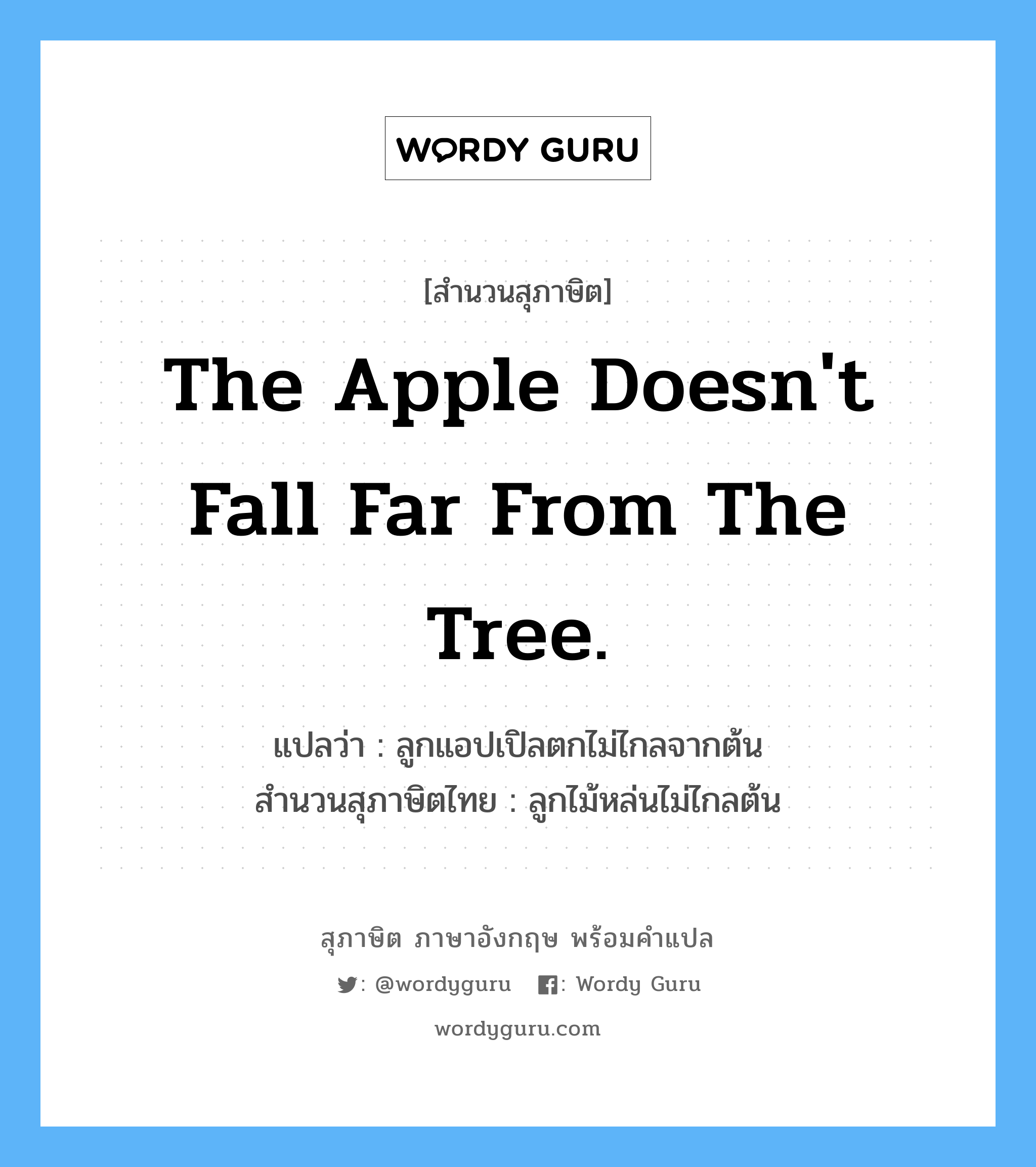 The apple doesn't fall far from the tree. แปลว่า?, สำนวนสุภาษิต ภาษาอังกฤษ The apple doesn't fall far from the tree. แปลว่า ลูกแอปเปิลตกไม่ไกลจากต้น สำนวนสุภาษิตไทย ลูกไม้หล่นไม่ไกลต้น
