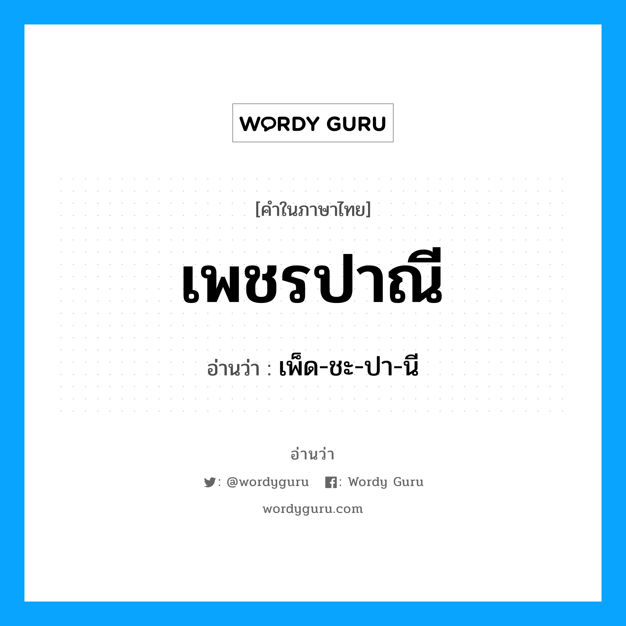 เพ็ด-ชะ-ปา-นี เป็นคำอ่านของคำไหน?, คำในภาษาไทย เพ็ด-ชะ-ปา-นี อ่านว่า เพชรปาณี