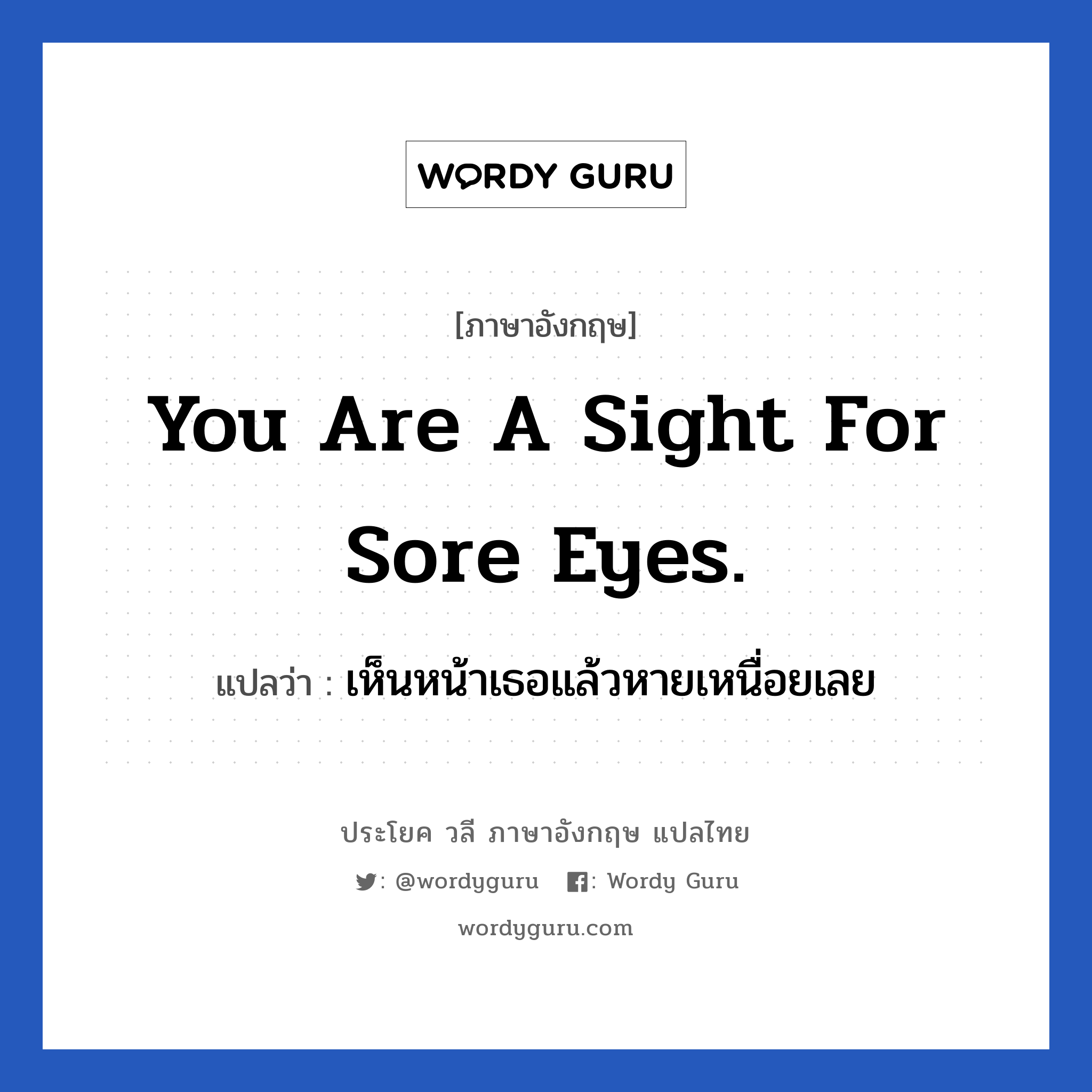 You are a sight for sore eyes. แปลว่า?, วลีภาษาอังกฤษ You are a sight for sore eyes. แปลว่า เห็นหน้าเธอแล้วหายเหนื่อยเลย
