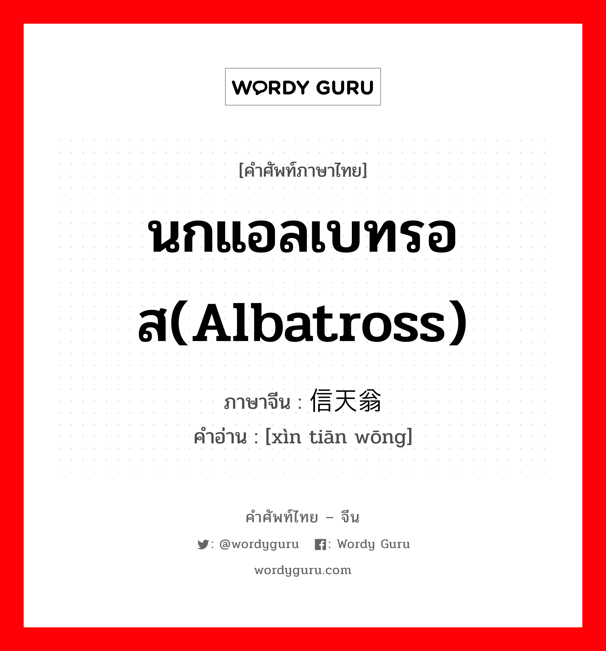นกแอลเบทรอส(Albatross) ภาษาจีนคืออะไร, คำศัพท์ภาษาไทย - จีน นกแอลเบทรอส(Albatross) ภาษาจีน 信天翁 คำอ่าน [xìn tiān wōng]