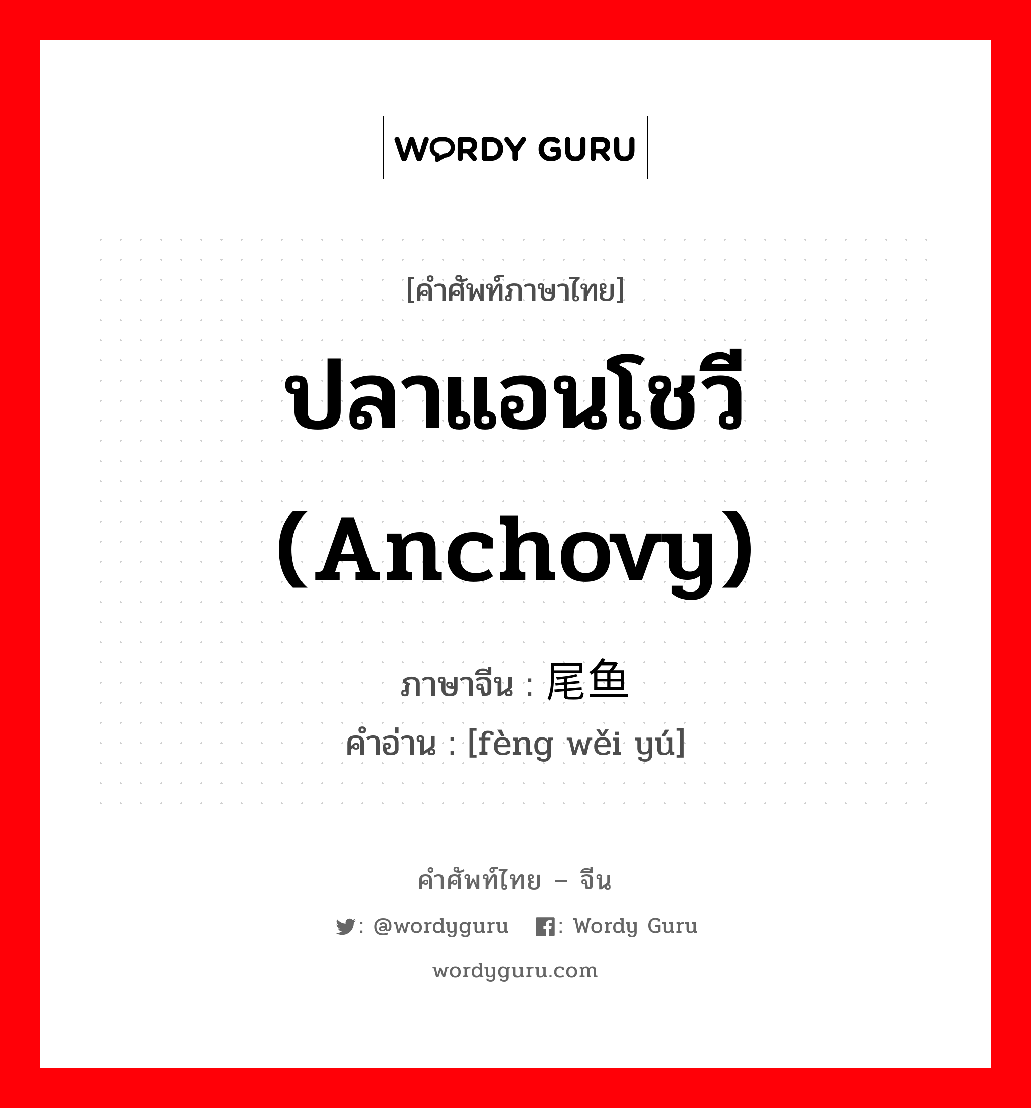 ปลาแอนโชวี (anchovy) ภาษาจีนคืออะไร, คำศัพท์ภาษาไทย - จีน ปลาแอนโชวี (anchovy) ภาษาจีน 凤尾鱼 คำอ่าน [fèng wěi yú]