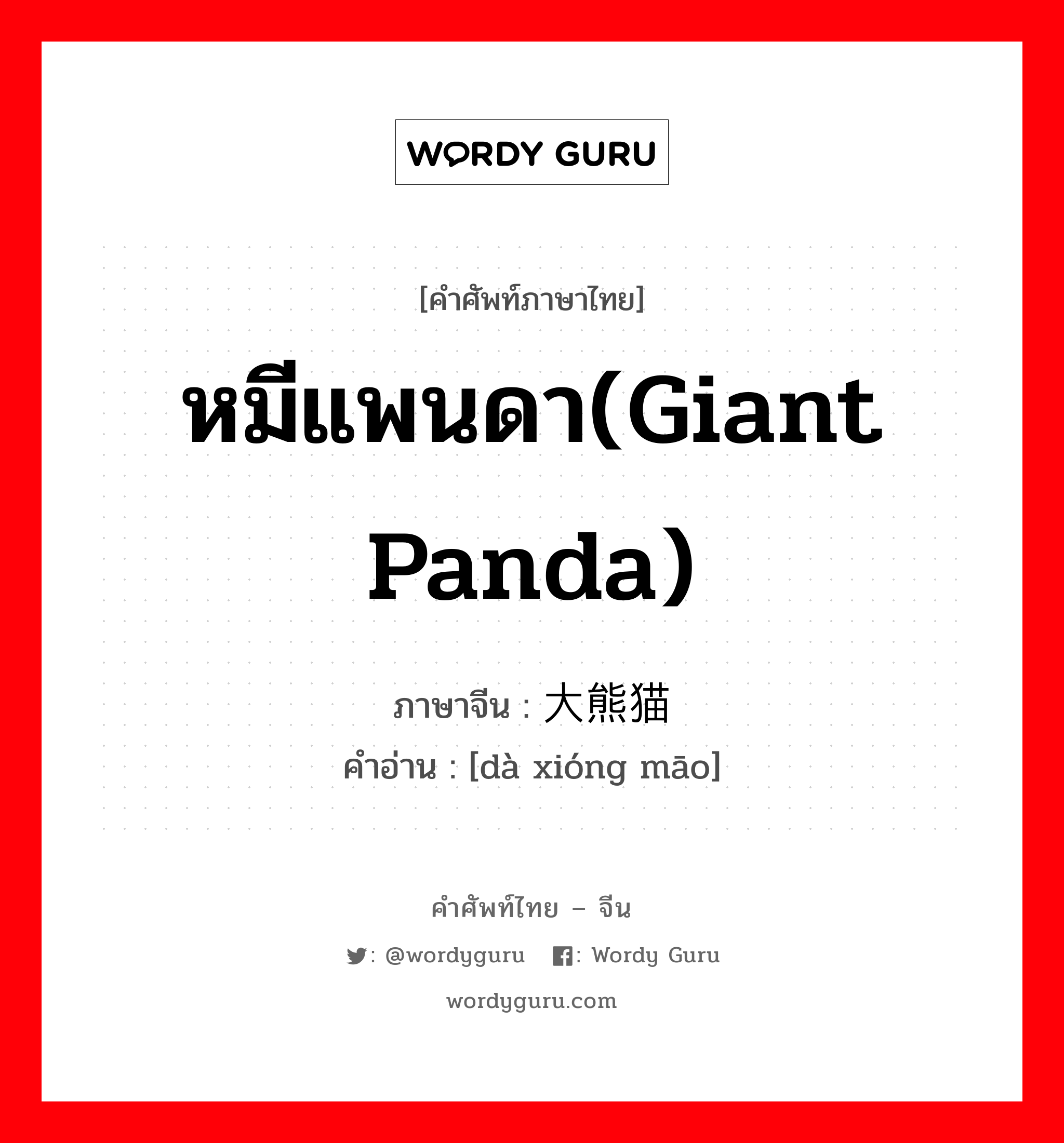 หมีแพนดา(giant panda) ภาษาจีนคืออะไร, คำศัพท์ภาษาไทย - จีน หมีแพนดา(giant panda) ภาษาจีน 大熊猫 คำอ่าน [dà xióng māo]