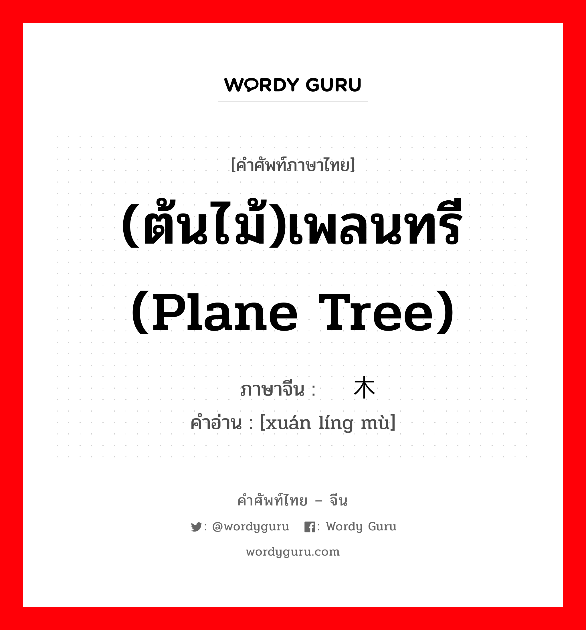 (ต้นไม้)เพลนทรี (Plane tree) ภาษาจีนคืออะไร, คำศัพท์ภาษาไทย - จีน (ต้นไม้)เพลนทรี (Plane tree) ภาษาจีน 悬铃木 คำอ่าน [xuán líng mù]