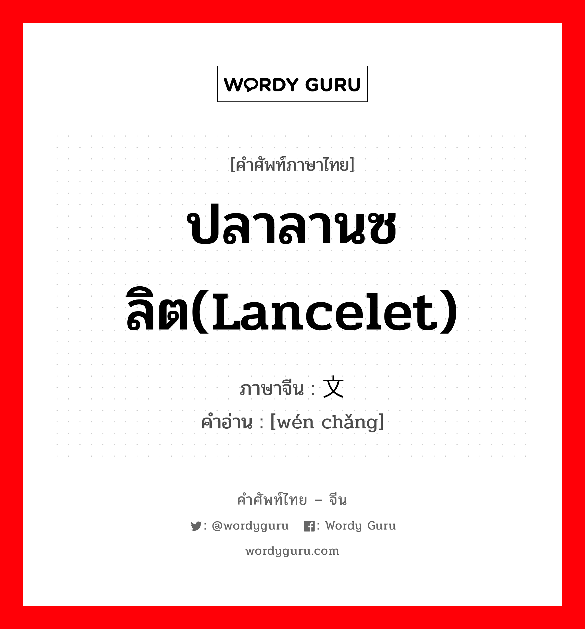 ปลาลานซลิต(lancelet) ภาษาจีนคืออะไร, คำศัพท์ภาษาไทย - จีน ปลาลานซลิต(lancelet) ภาษาจีน 文场 คำอ่าน [wén chǎng]
