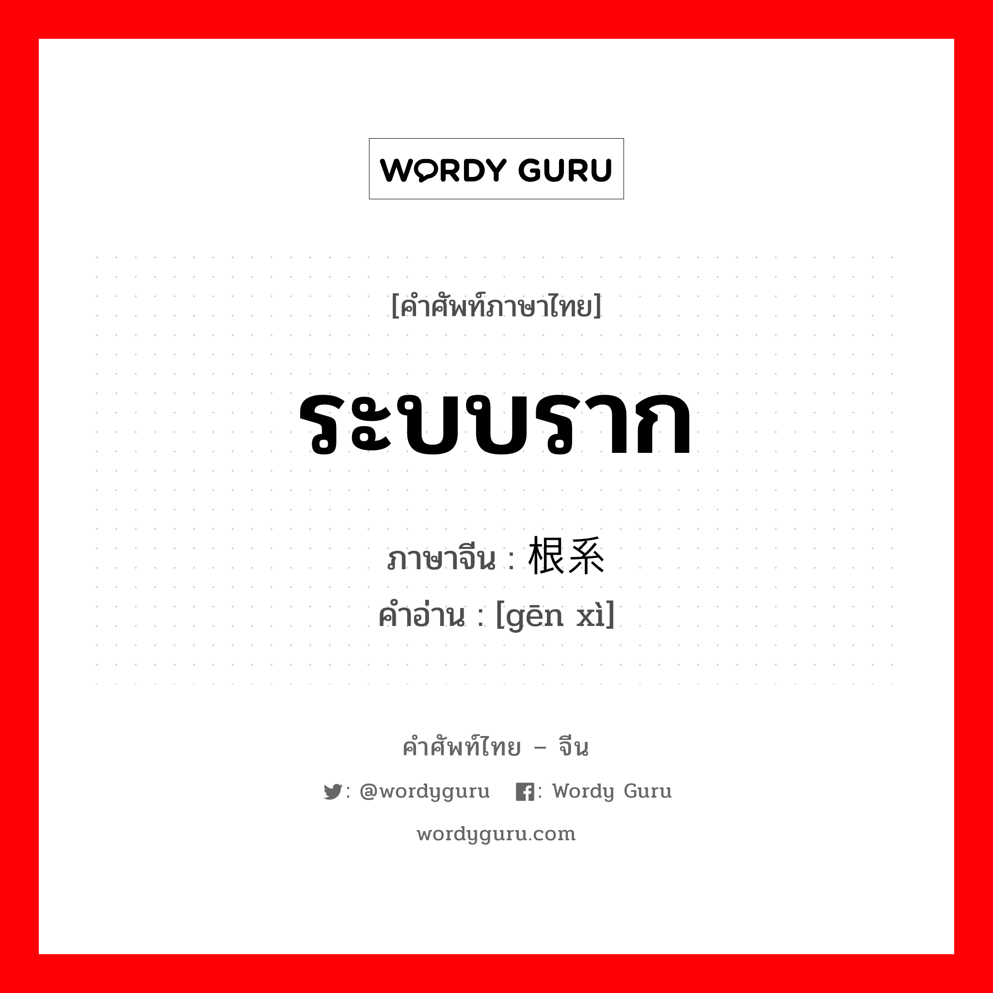 ระบบราก ภาษาจีนคืออะไร, คำศัพท์ภาษาไทย - จีน ระบบราก ภาษาจีน 根系 คำอ่าน [gēn xì]