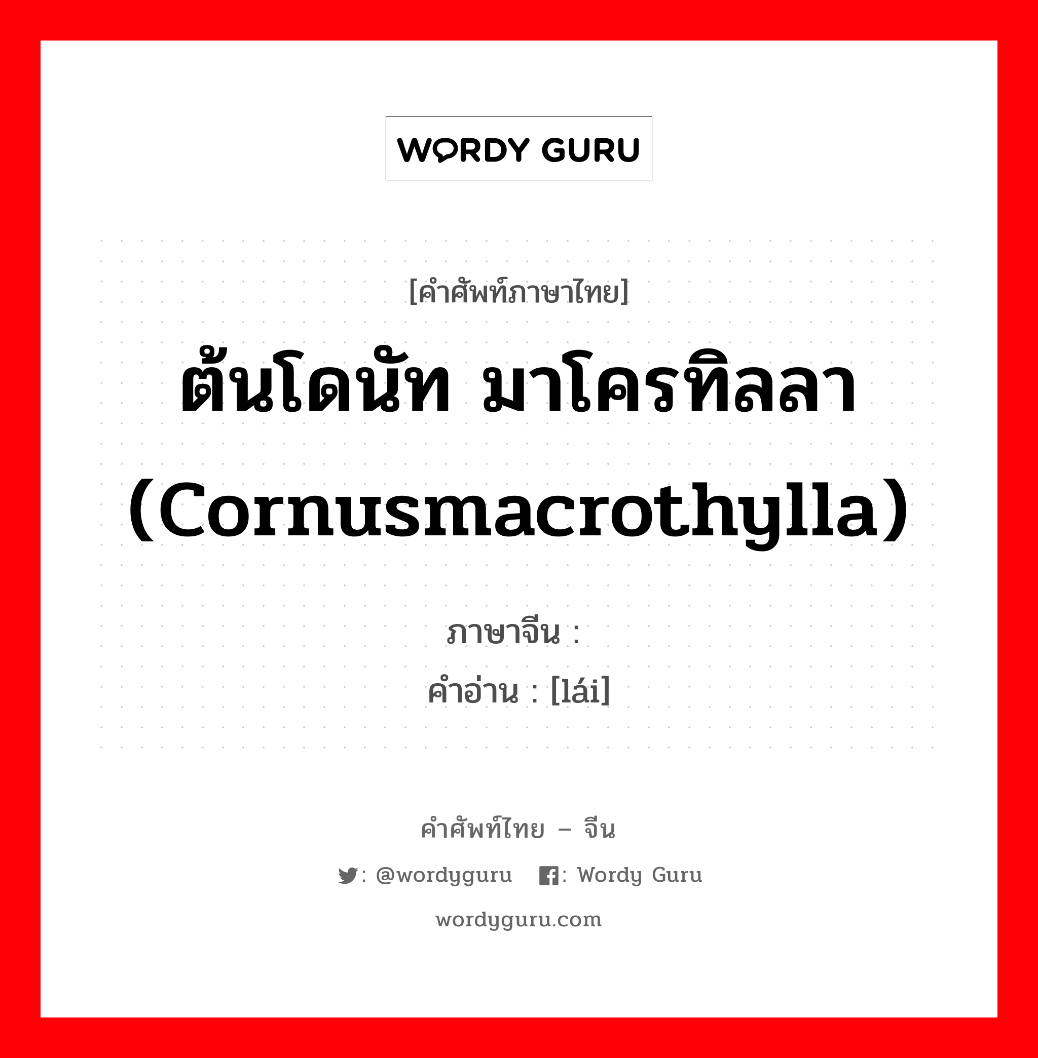 ต้นโดนัท มาโครทิลลา (Cornusmacrothylla) ภาษาจีนคืออะไร, คำศัพท์ภาษาไทย - จีน ต้นโดนัท มาโครทิลลา (Cornusmacrothylla) ภาษาจีน 梾 คำอ่าน [lái]