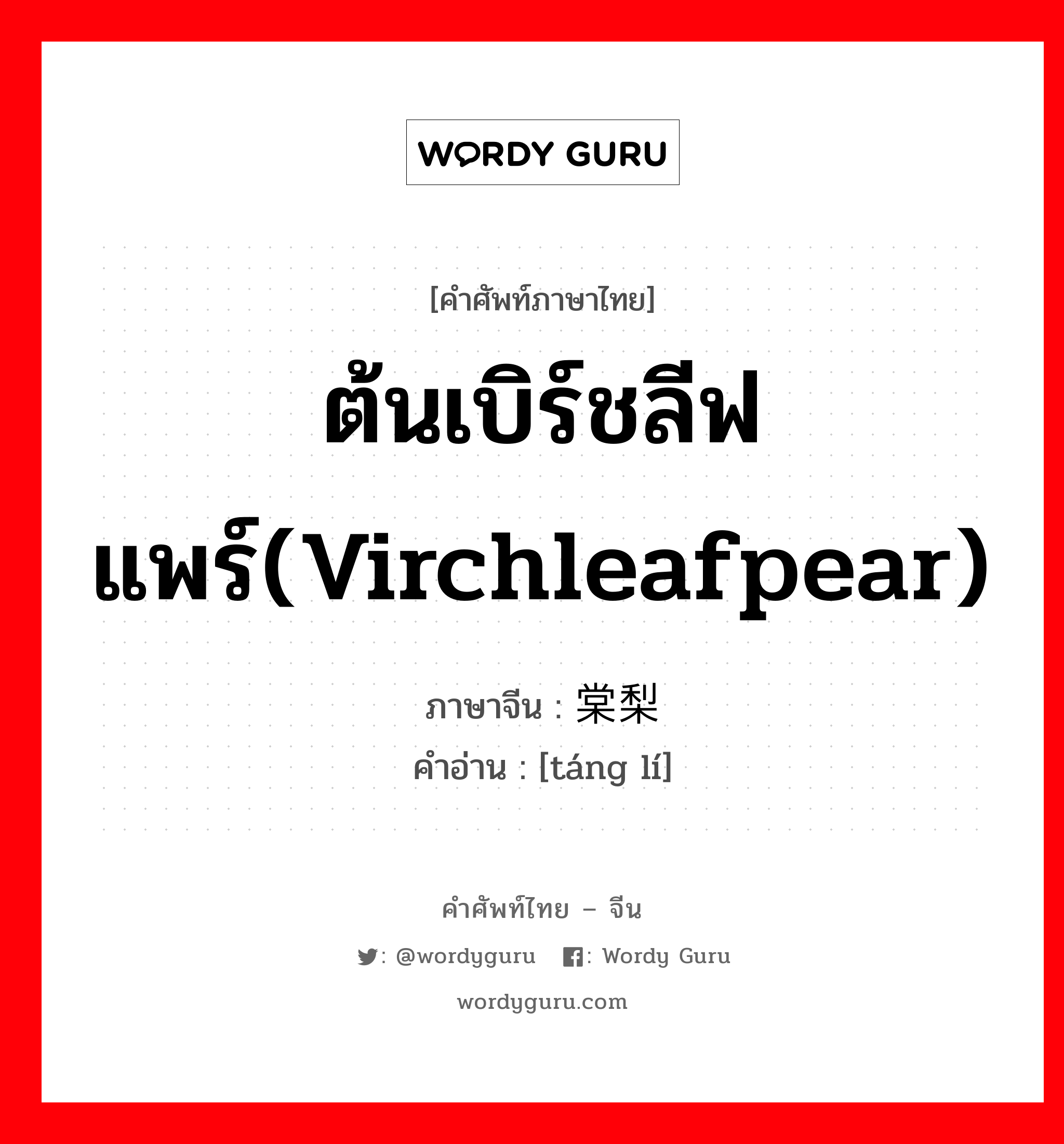ต้นเบิร์ชลีฟแพร์(virchleafpear) ภาษาจีนคืออะไร, คำศัพท์ภาษาไทย - จีน ต้นเบิร์ชลีฟแพร์(virchleafpear) ภาษาจีน 棠梨 คำอ่าน [táng lí]