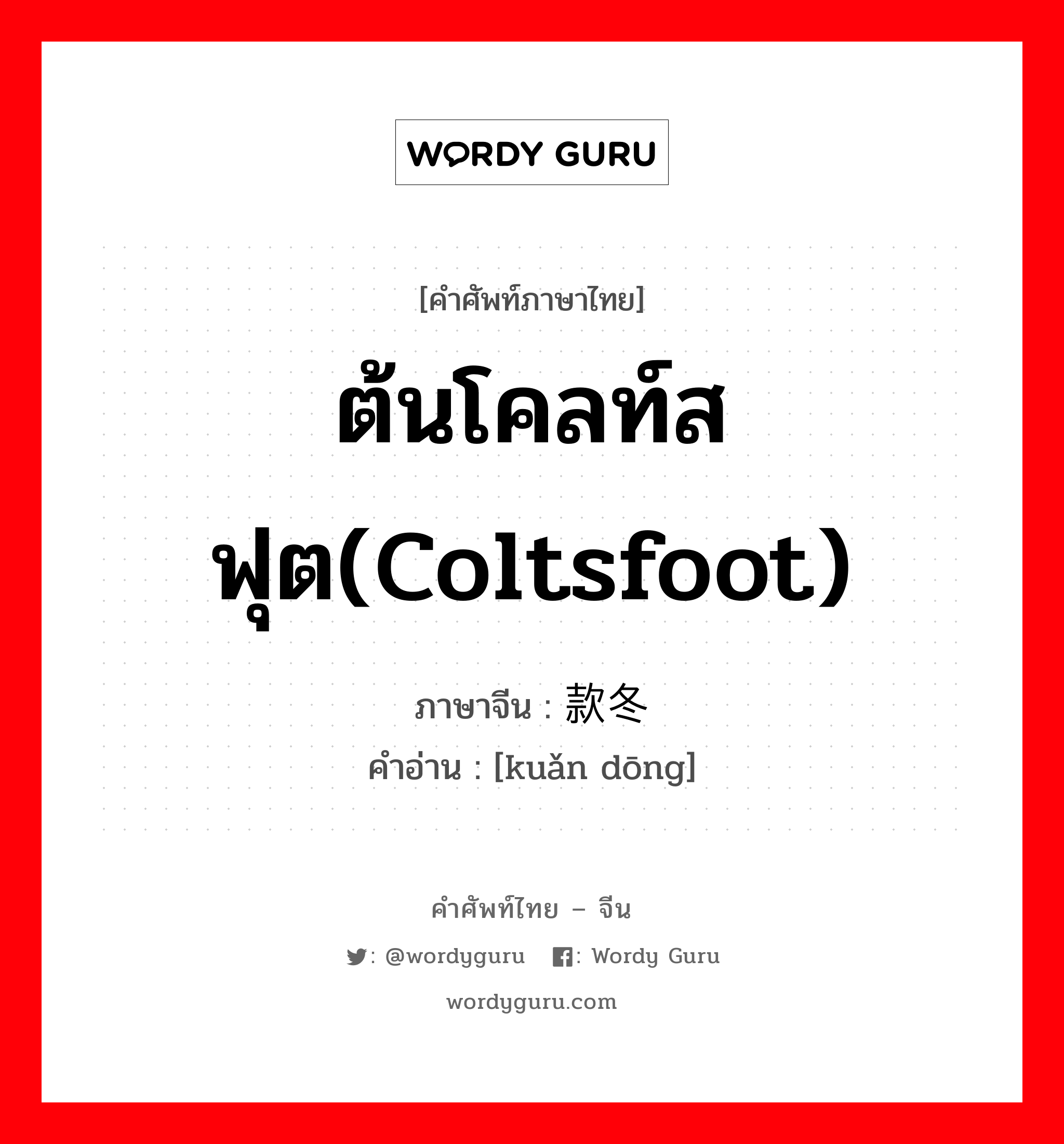 ต้นโคลท์สฟุต(coltsfoot) ภาษาจีนคืออะไร, คำศัพท์ภาษาไทย - จีน ต้นโคลท์สฟุต(coltsfoot) ภาษาจีน 款冬 คำอ่าน [kuǎn dōng]
