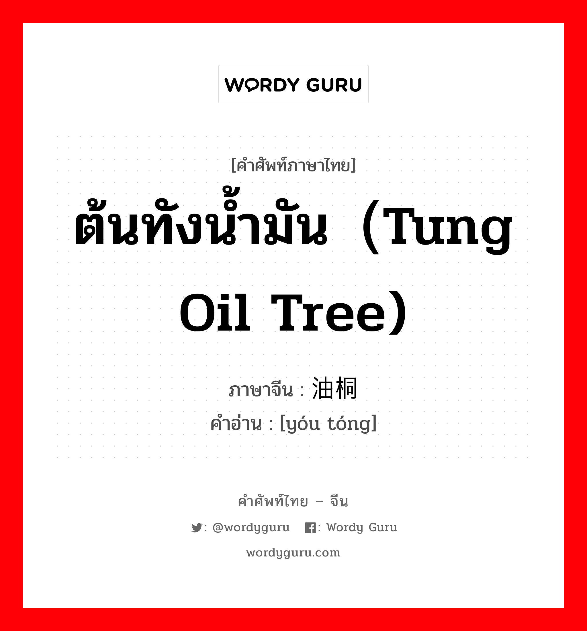 ต้นทังน้ำมัน（Tung oil tree) ภาษาจีนคืออะไร, คำศัพท์ภาษาไทย - จีน ต้นทังน้ำมัน（Tung oil tree) ภาษาจีน 油桐 คำอ่าน [yóu tóng]
