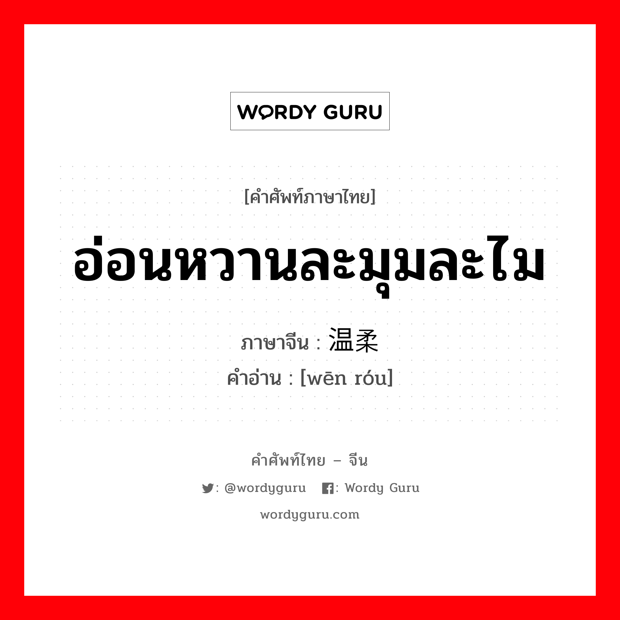 อ่อนหวานละมุมละไม ภาษาจีนคืออะไร, คำศัพท์ภาษาไทย - จีน อ่อนหวานละมุมละไม ภาษาจีน 温柔 คำอ่าน [wēn róu]