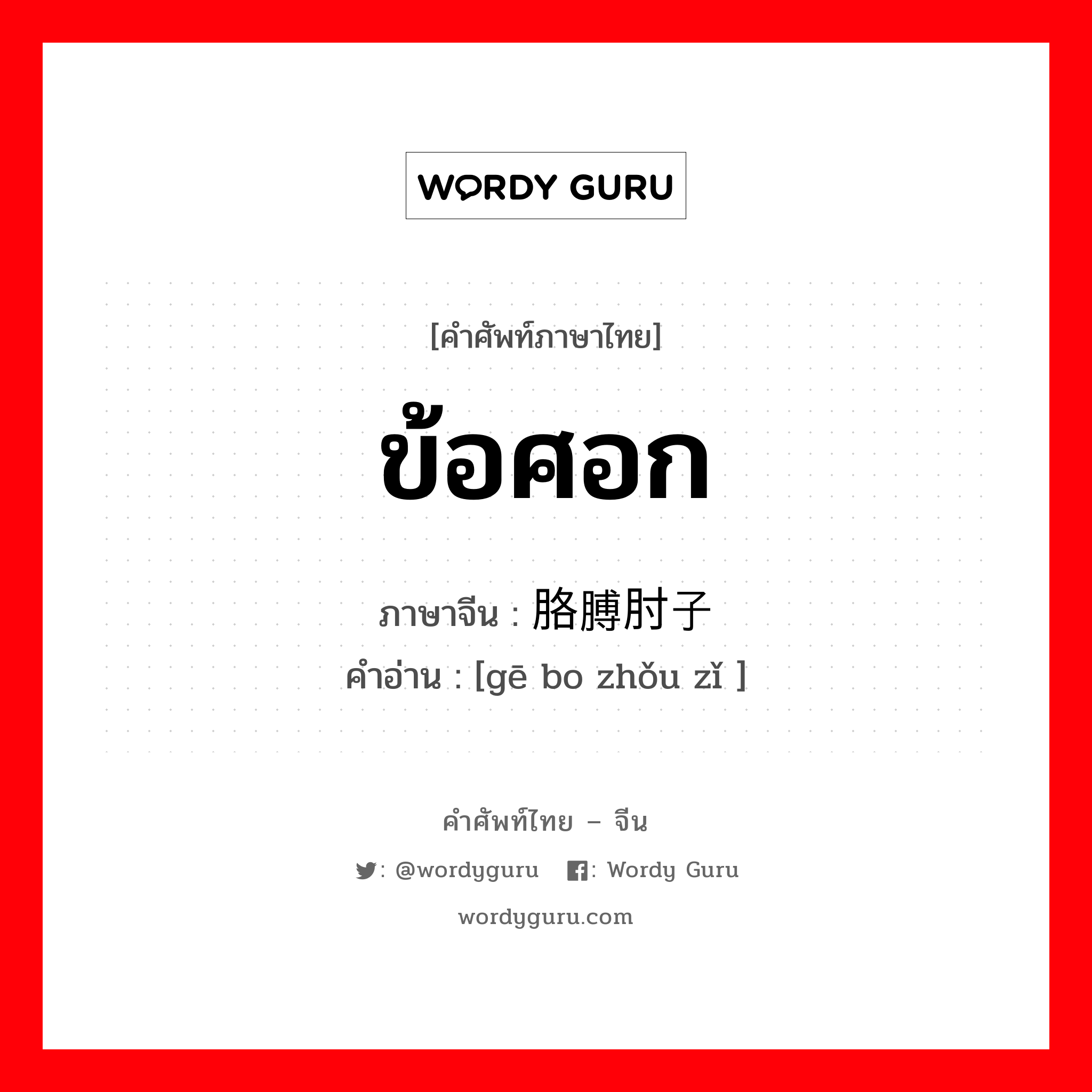ข้อศอก ภาษาจีนคืออะไร, คำศัพท์ภาษาไทย - จีน ข้อศอก ภาษาจีน 胳膊肘子 คำอ่าน [gē bo zhǒu zǐ ]