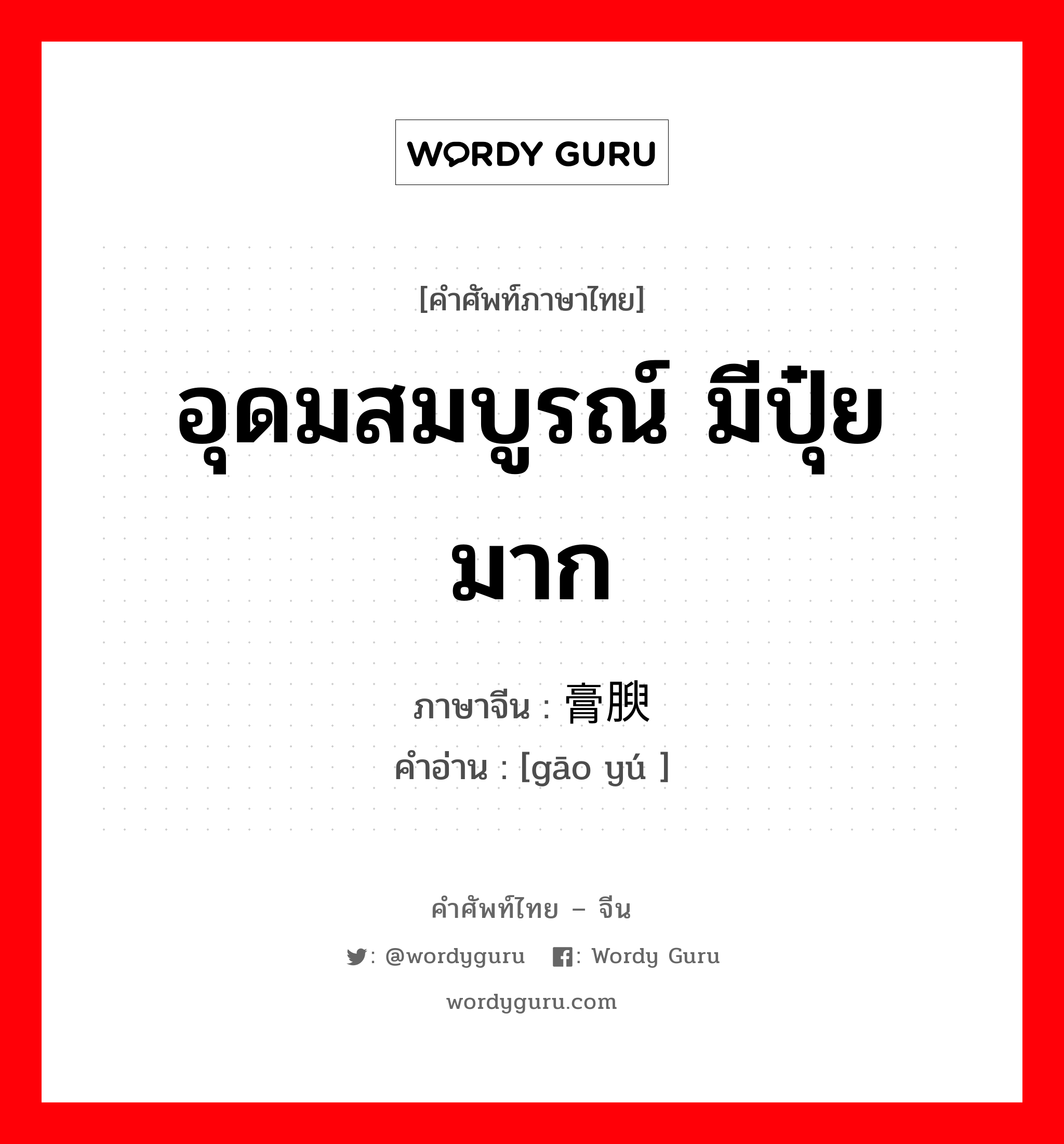 อุดมสมบูรณ์ มีปุ๋ยมาก ภาษาจีนคืออะไร, คำศัพท์ภาษาไทย - จีน อุดมสมบูรณ์ มีปุ๋ยมาก ภาษาจีน 膏腴 คำอ่าน [gāo yú ]