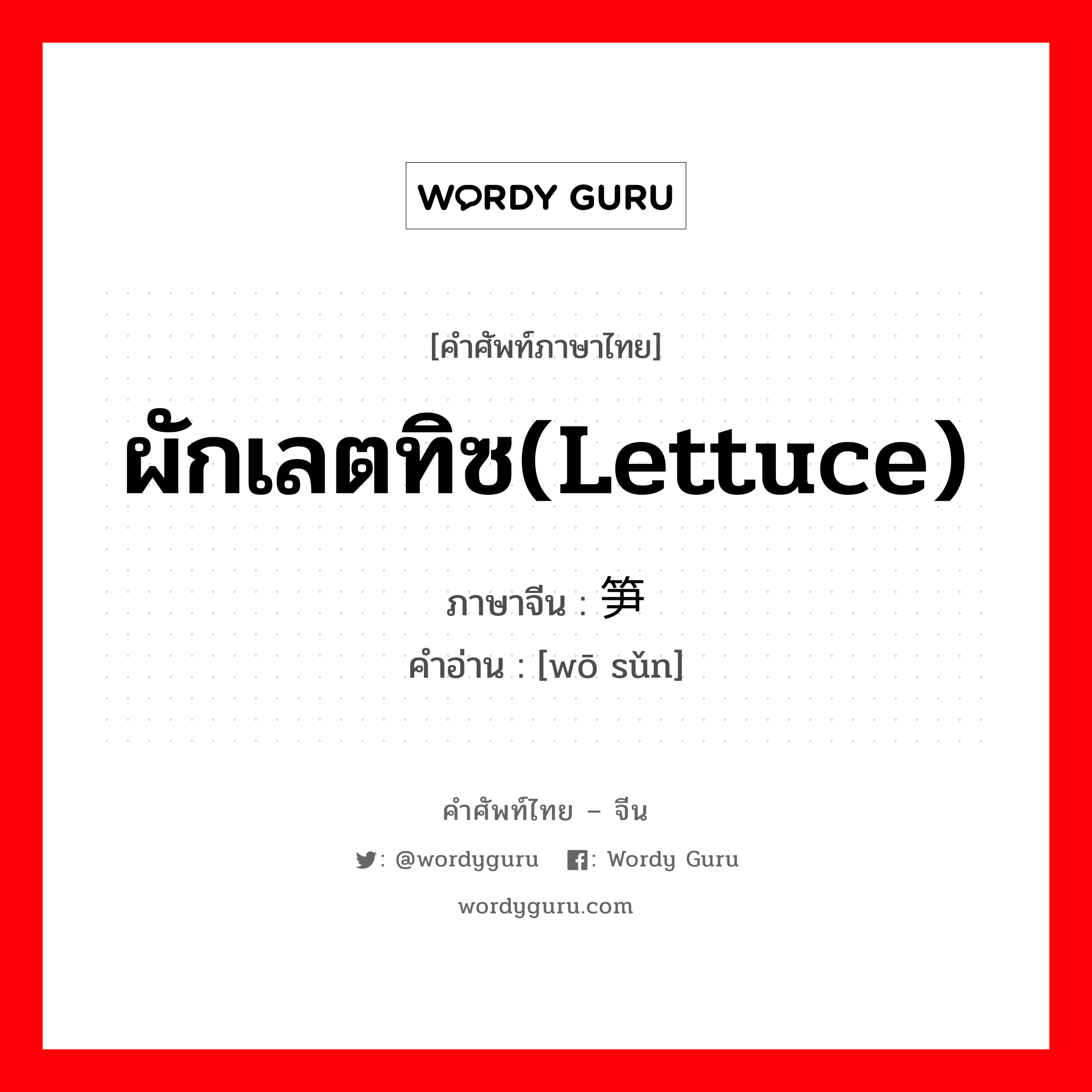 ผักเลตทิซ(Lettuce) ภาษาจีนคืออะไร, คำศัพท์ภาษาไทย - จีน ผักเลตทิซ(Lettuce) ภาษาจีน 莴笋 คำอ่าน [wō sǔn]