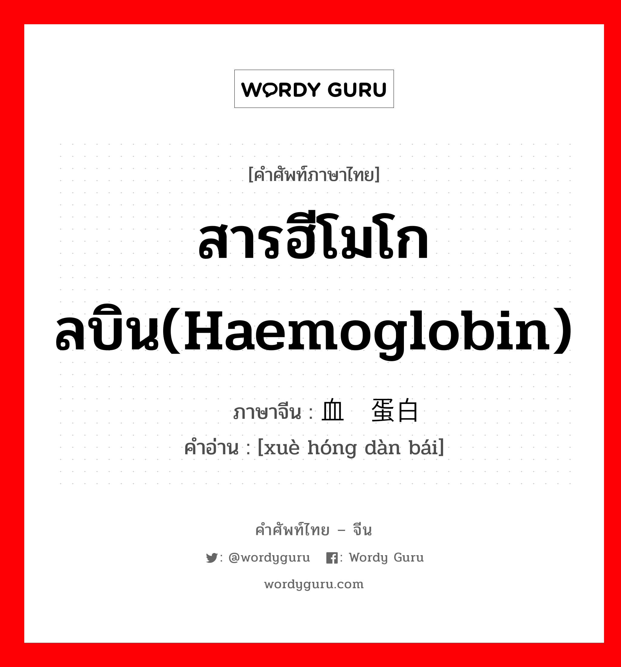 สารฮีโมโกลบิน(haemoglobin) ภาษาจีนคืออะไร, คำศัพท์ภาษาไทย - จีน สารฮีโมโกลบิน(haemoglobin) ภาษาจีน 血红蛋白 คำอ่าน [xuè hóng dàn bái]