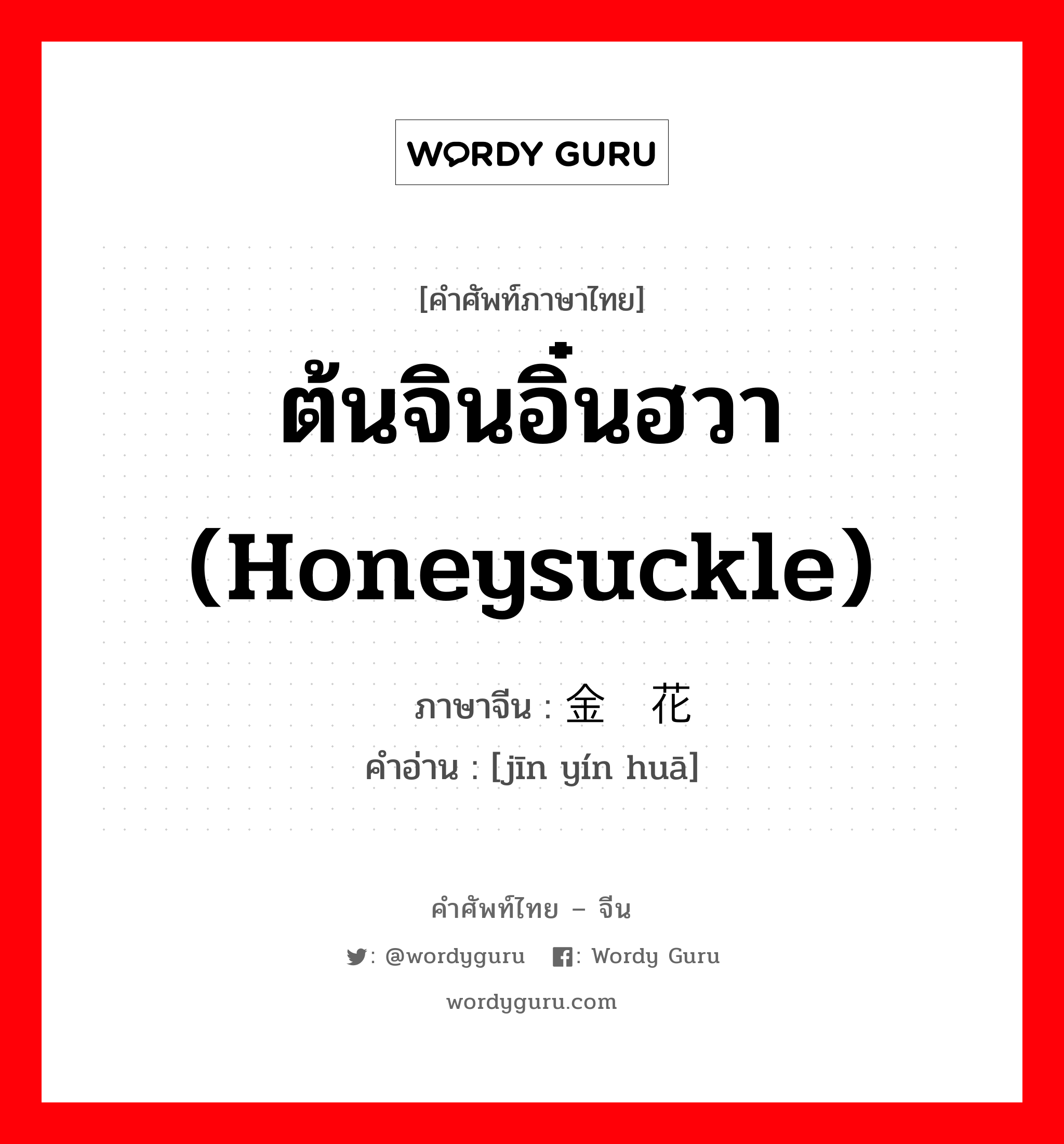 ต้นจินอิ๋นฮวา (honeysuckle) ภาษาจีนคืออะไร, คำศัพท์ภาษาไทย - จีน ต้นจินอิ๋นฮวา (honeysuckle) ภาษาจีน 金银花 คำอ่าน [jīn yín huā]