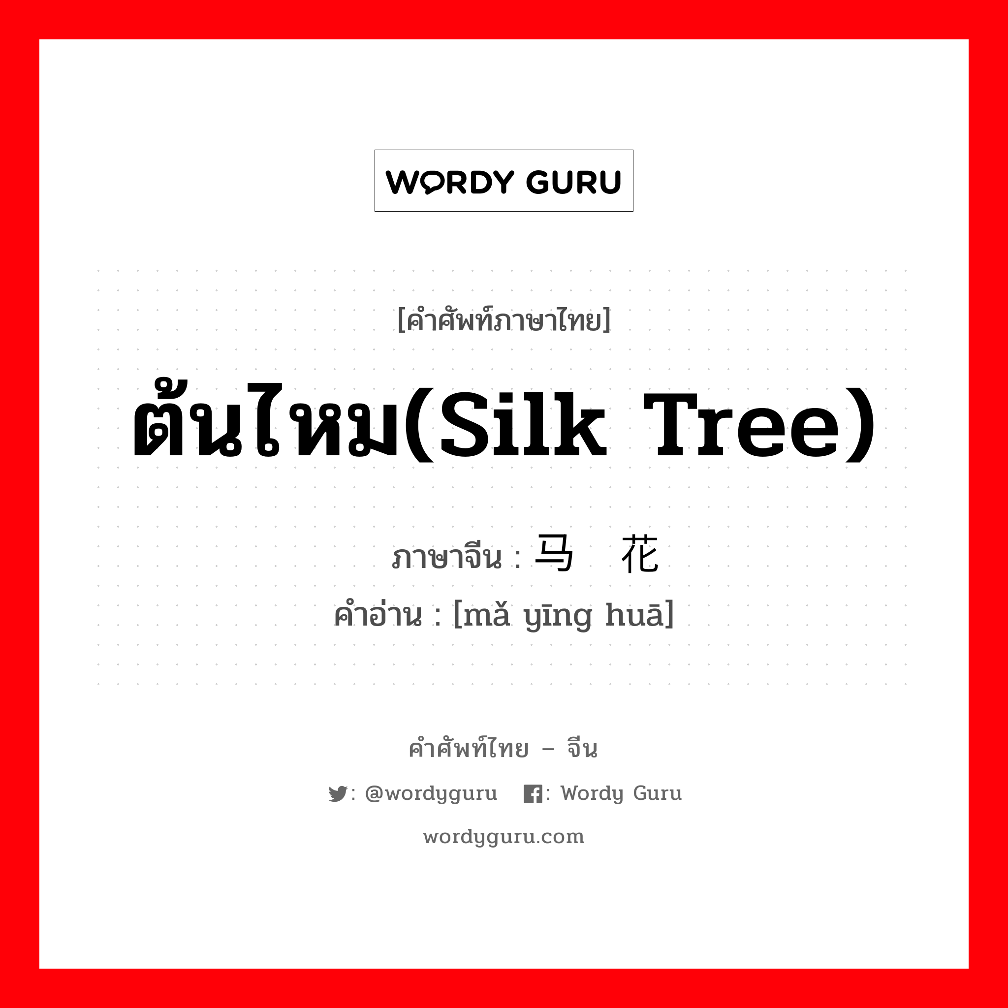 ต้นไหม(silk tree) ภาษาจีนคืออะไร, คำศัพท์ภาษาไทย - จีน ต้นไหม(silk tree) ภาษาจีน 马缨花 คำอ่าน [mǎ yīng huā]