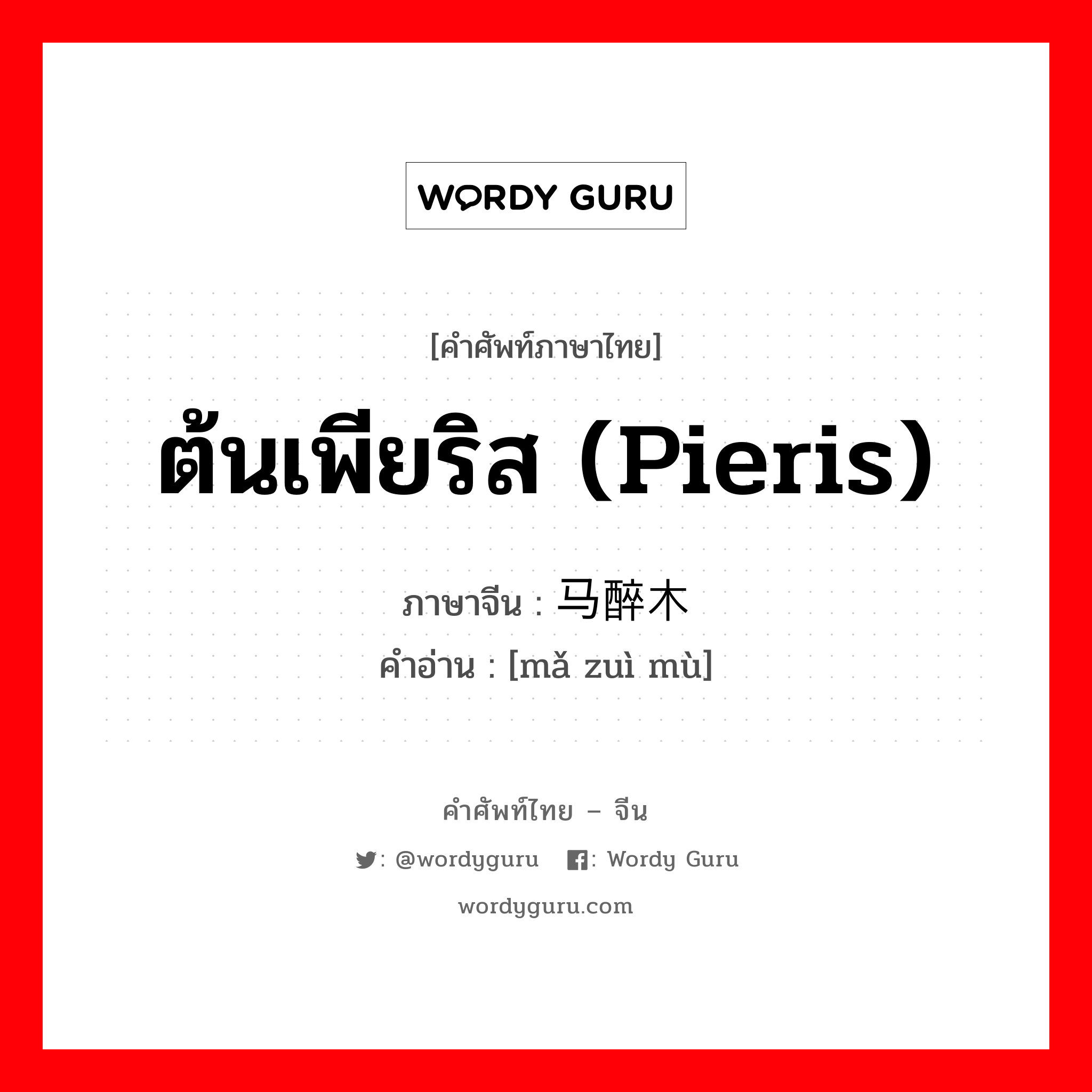 ต้นเพียริส (Pieris) ภาษาจีนคืออะไร, คำศัพท์ภาษาไทย - จีน ต้นเพียริส (Pieris) ภาษาจีน 马醉木 คำอ่าน [mǎ zuì mù]