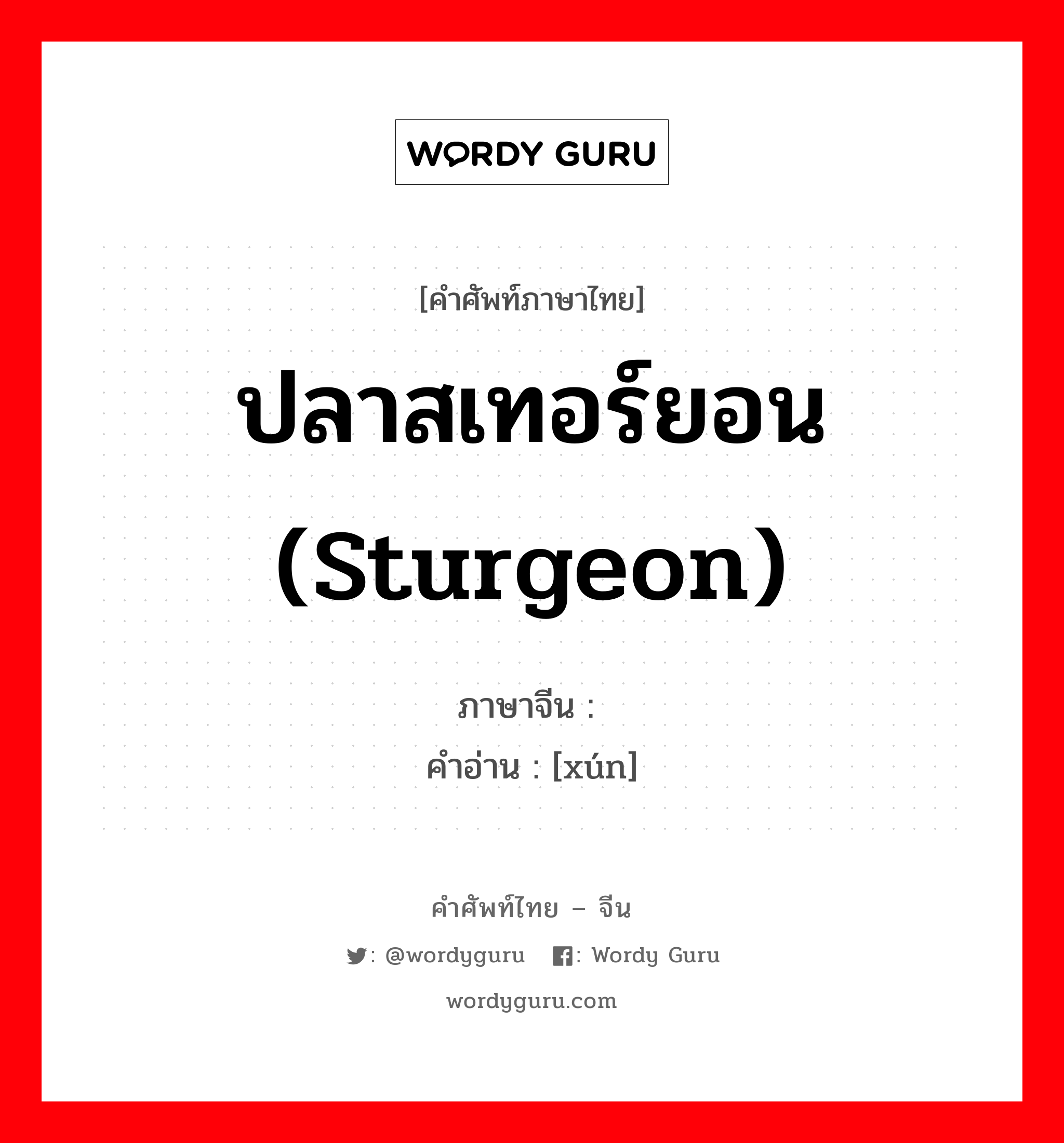 ปลาสเทอร์ยอน (sturgeon) ภาษาจีนคืออะไร, คำศัพท์ภาษาไทย - จีน ปลาสเทอร์ยอน (sturgeon) ภาษาจีน 鲟 คำอ่าน [xún]