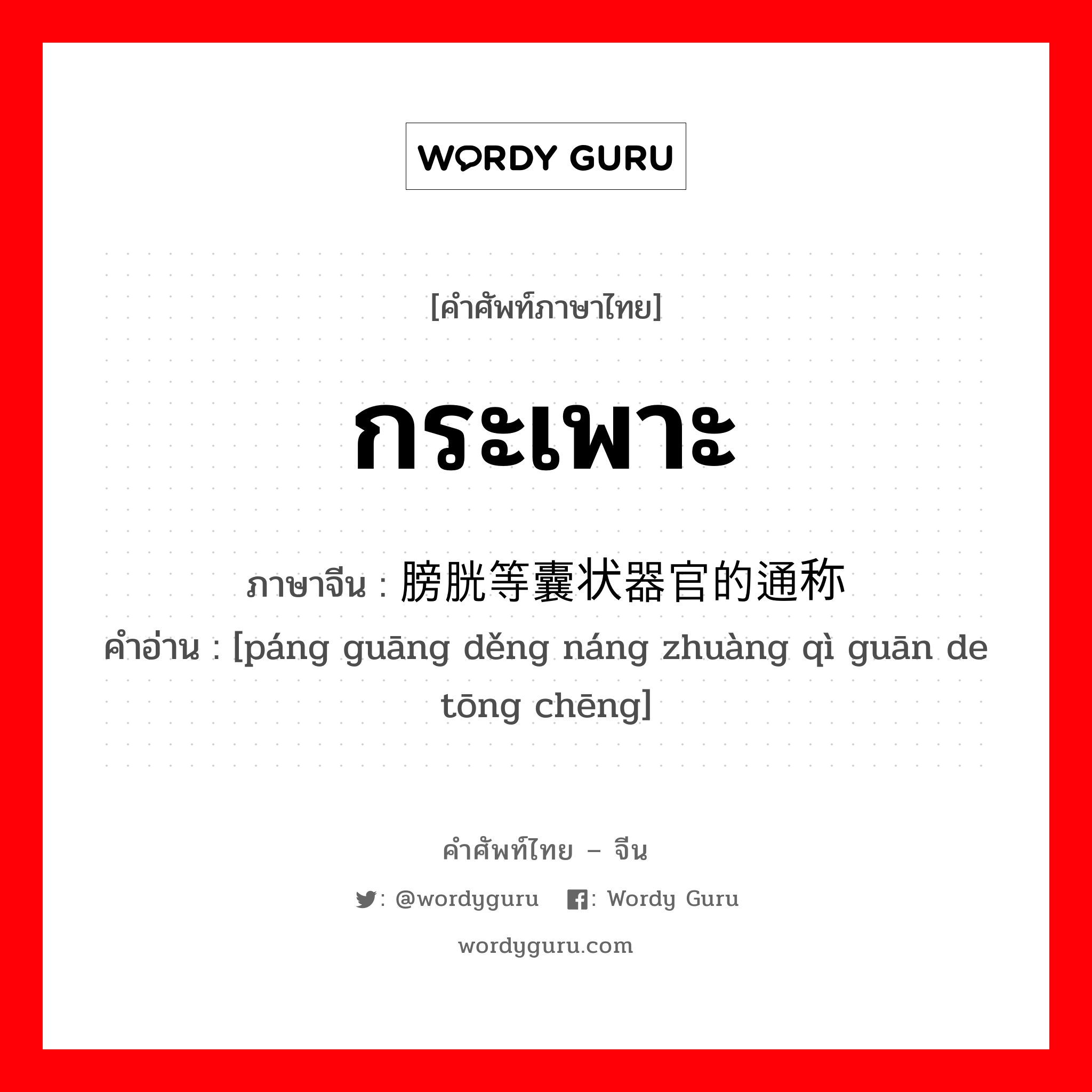 กระเพาะ ภาษาจีนคืออะไร, คำศัพท์ภาษาไทย - จีน กระเพาะ ภาษาจีน 膀胱等囊状器官的通称 คำอ่าน [páng guāng děng náng zhuàng qì guān de tōng chēng]